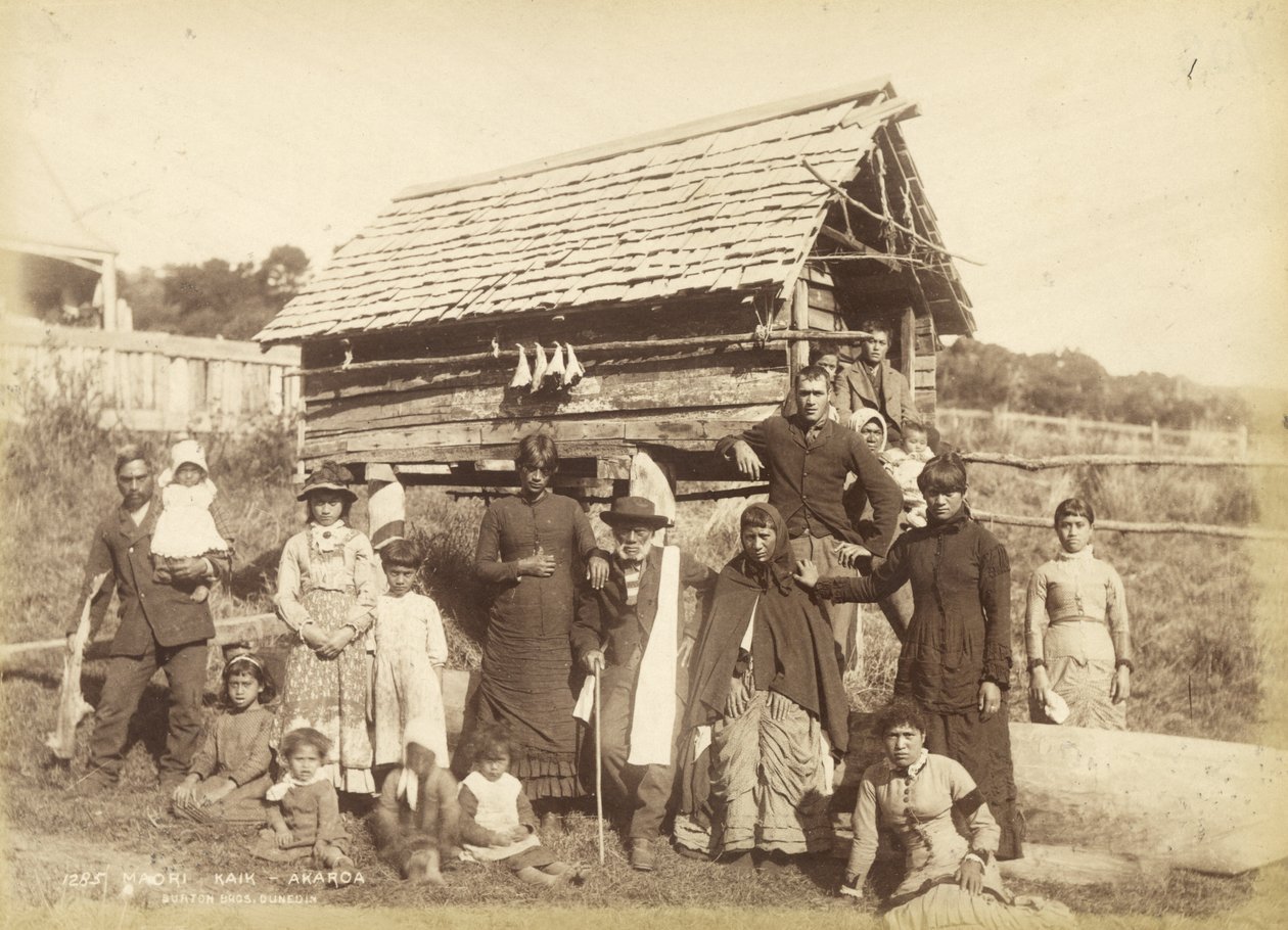 Maori Kaik - Akoroa, c.1884 (impressão de albume) de Burton Brothers Studio