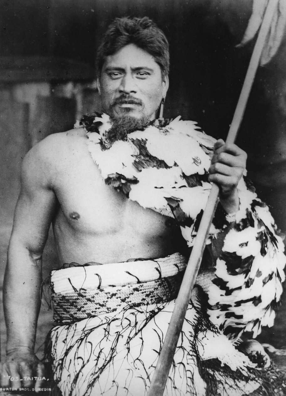 Sede em Taumaranui, Kings Country, 1885 de Burton Brothers Studio