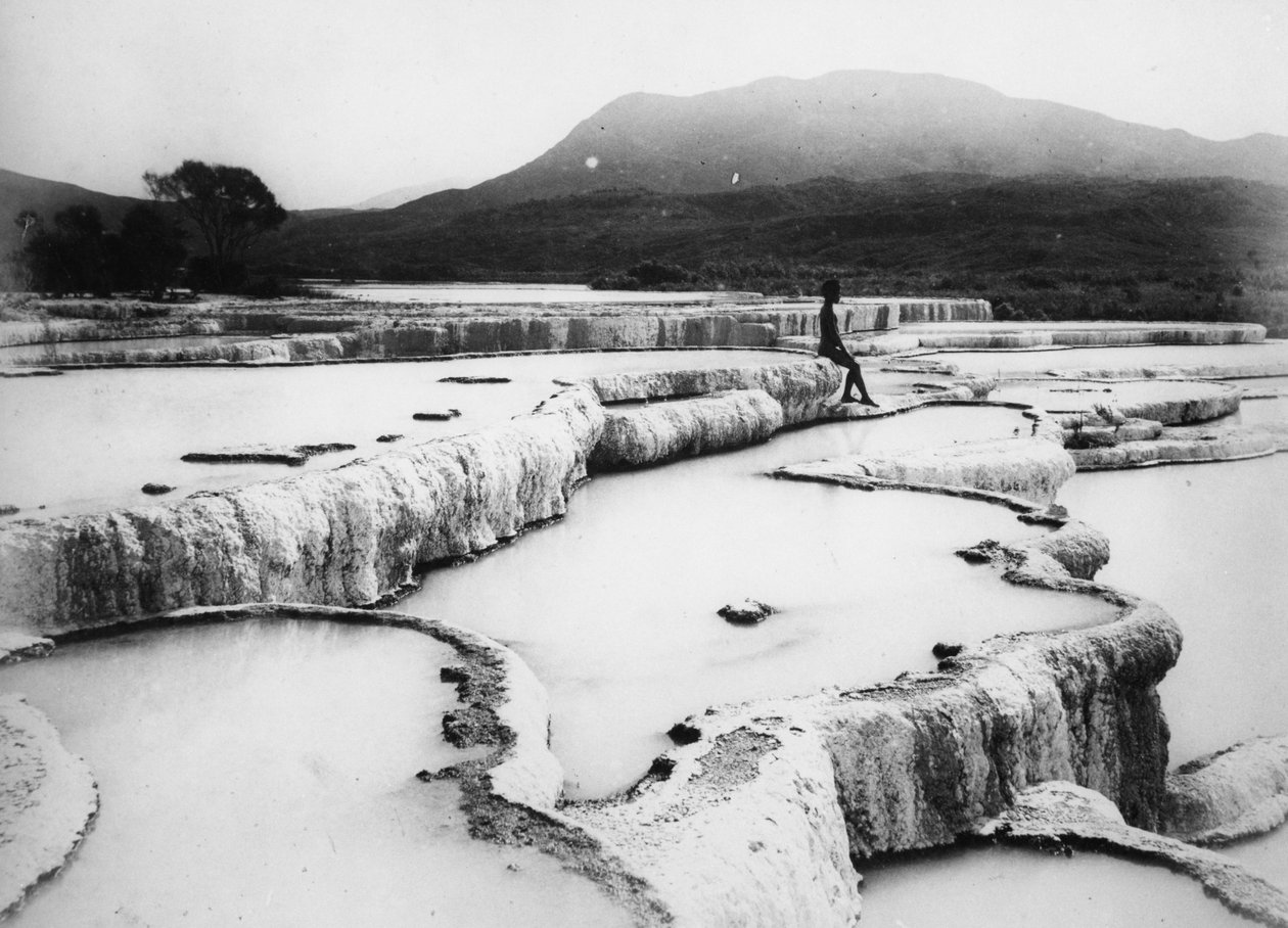 The Hot Water Basins & White Terraces, c.1880s (foto a p/b) de Burton Brothers Studio