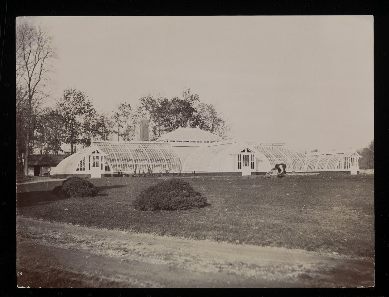 Uma estufa na propriedade de John Jacob Astor em Rhinecliff, NY, 1893-94 (impressão de gelatina de prata) de Byron Company