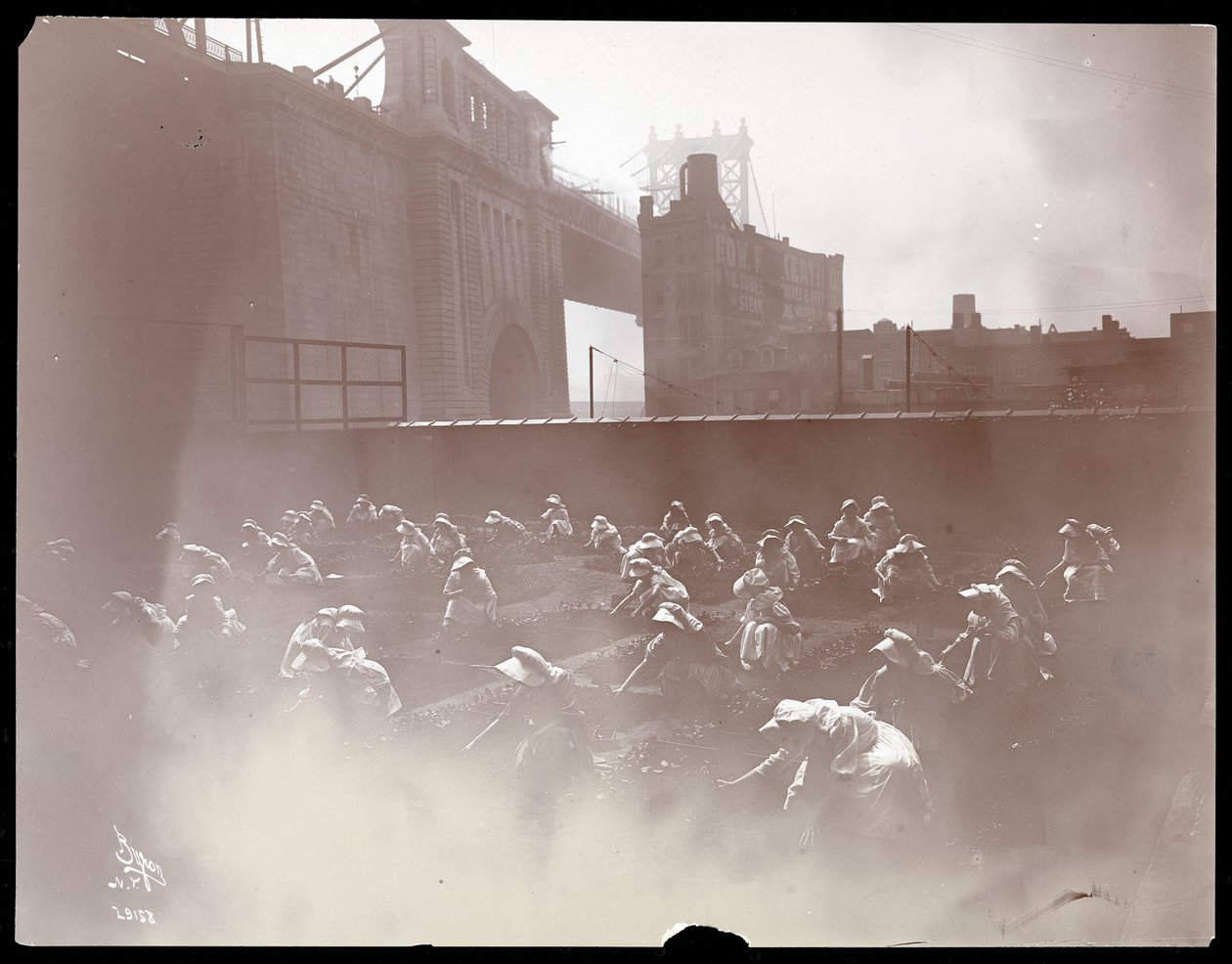 Meninas, trabalhando, ligado, um, telhado, jardim vegetal, ponte manhattan, visível, além, nova iorque, 1910, (silver, gelatin, print) de Byron Company