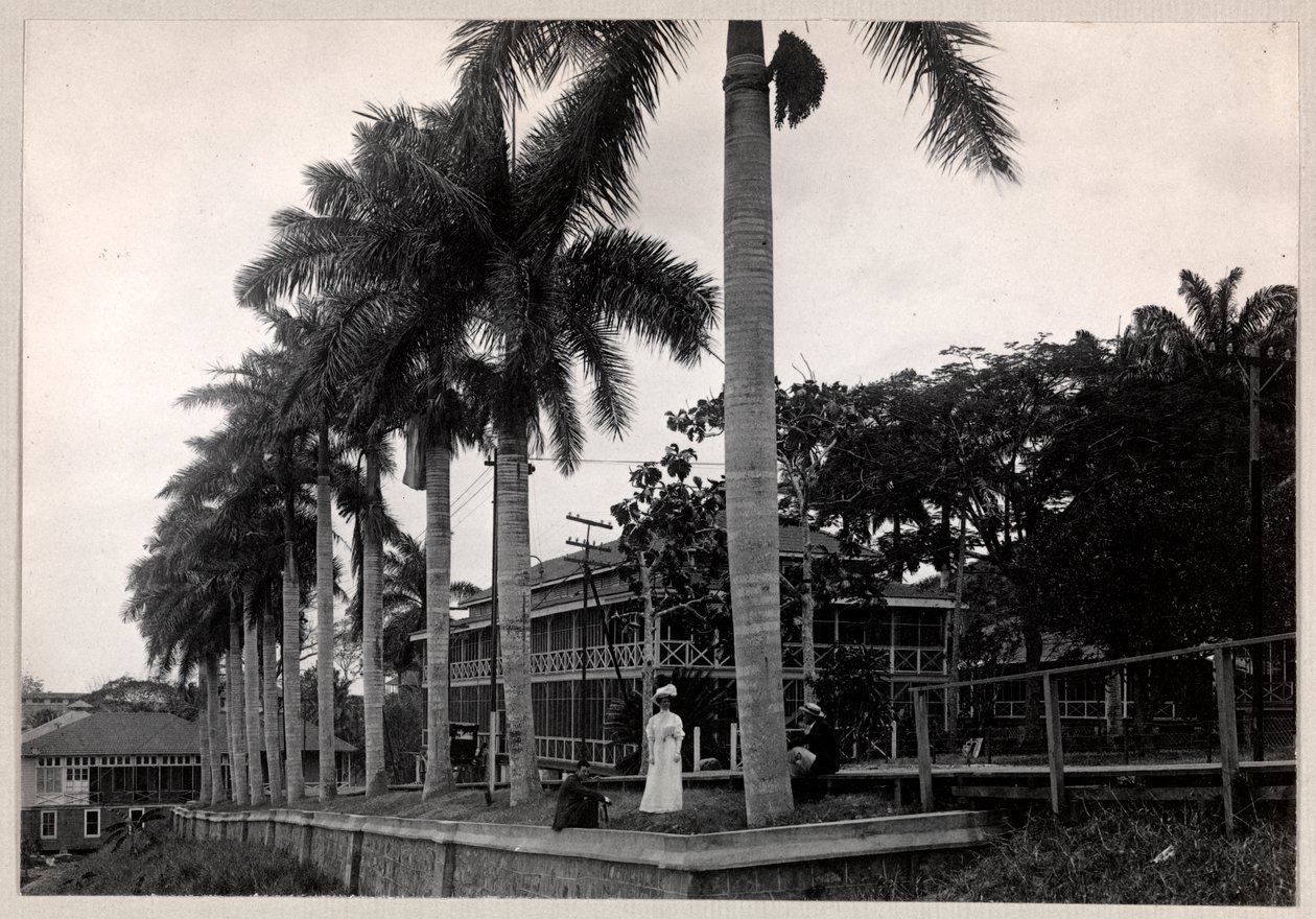 Grupo de dois homens e uma mulher sob uma palmeira durante a construção do Canal do Panamá, 1912 ou 1913 (impressão de gelatina de prata) de Byron Company