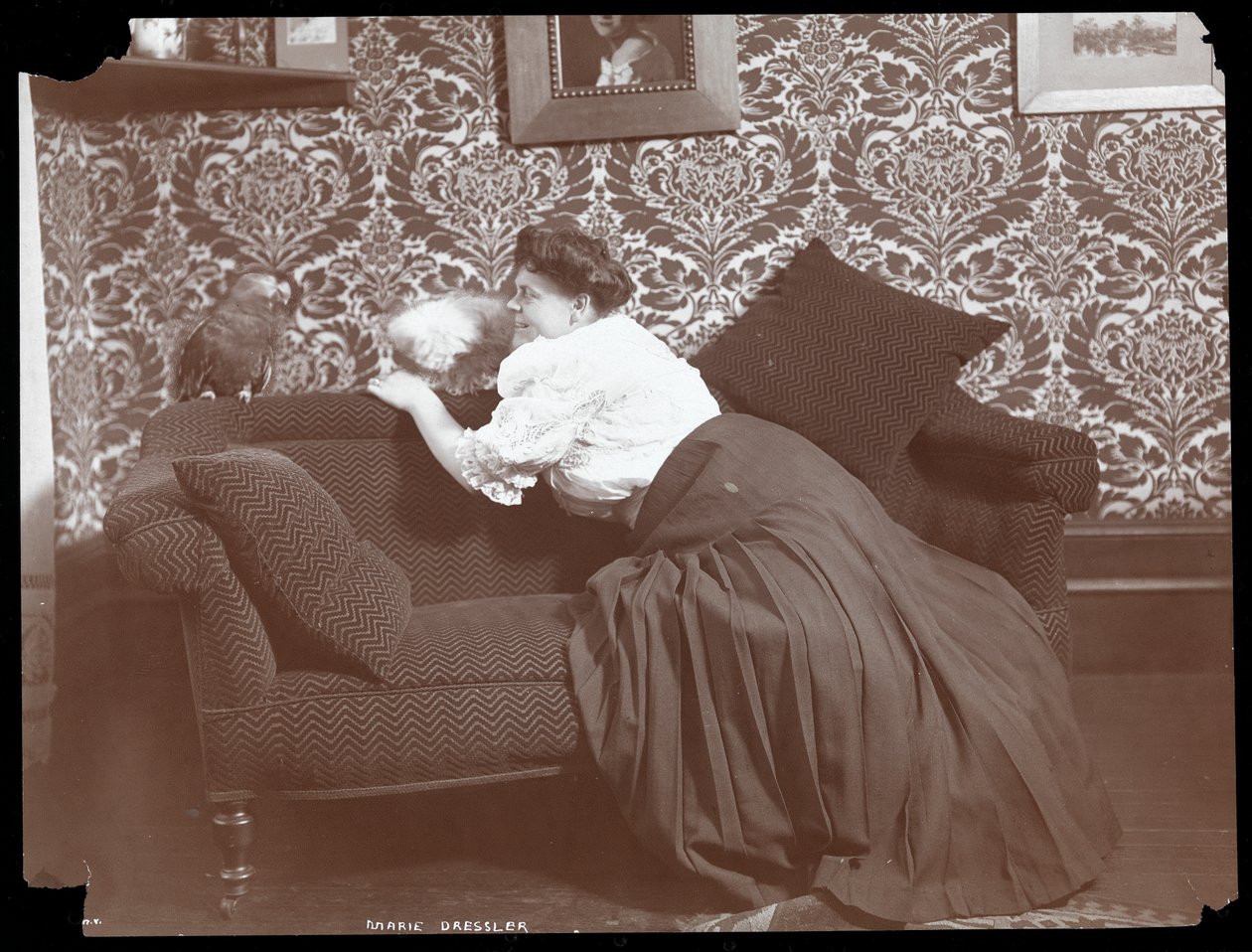Marie Dressler em casa com cachorro e papagaio, 1905 (impressão de gelatina de prata) de Byron Company