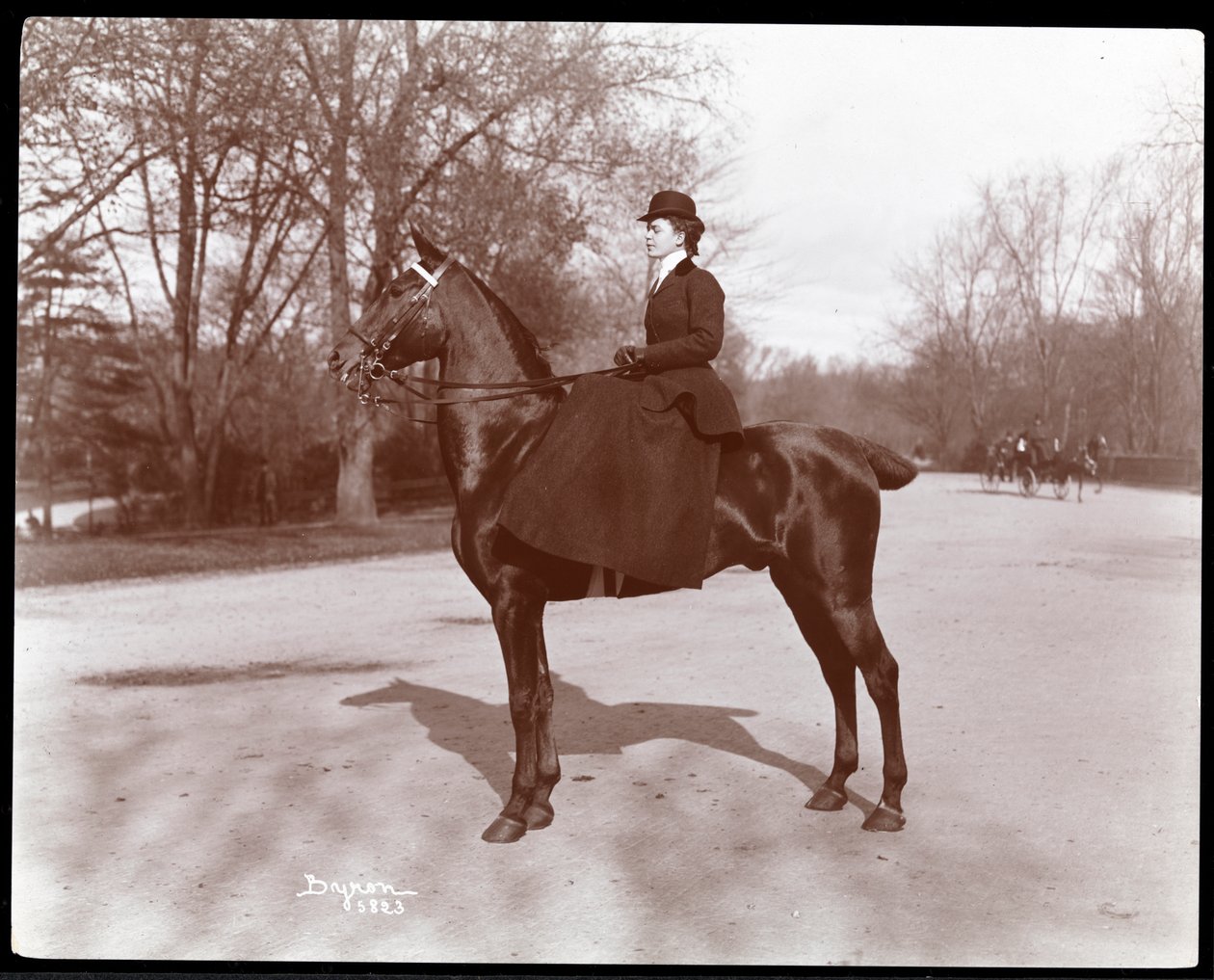 Retrato, de, senhorita, praia, posado, ligado, um, cavalo, ligado, a, breio, caminho, em, parque central, 1898, (silver, gelatin, print) de Byron Company