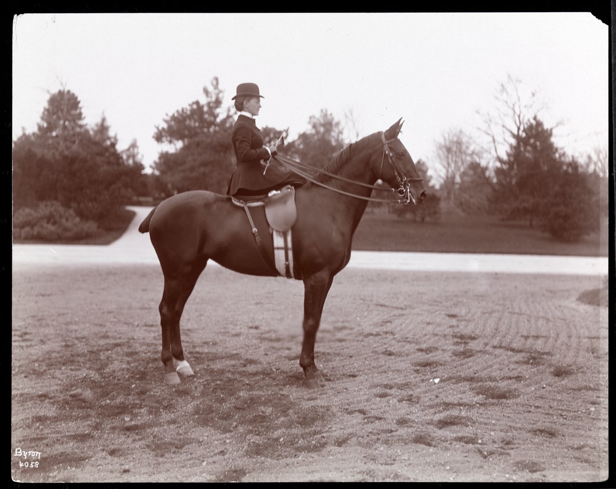 Retrato da Sra. Beach posou em um cavalo no caminho de freio no Central Park, 1898 (impressão de gelatina de prata) de Byron Company