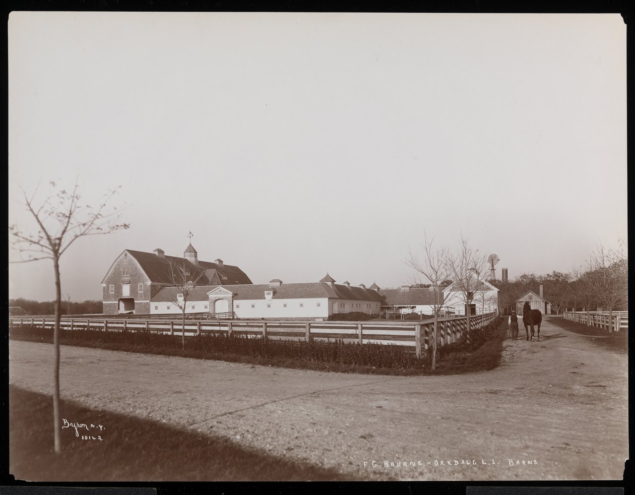 Os celeiros na propriedade de FG Bourne em Oakdale, Long Island, Nova York, 1900 (impressão de gelatina de prata) de Byron Company