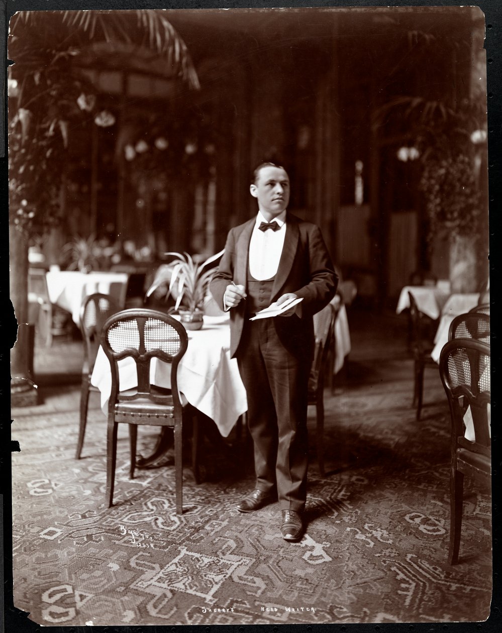 O chefe garçom no restaurante Sherry, Nova York, 1902 (impressão de gelatina de prata) de Byron Company