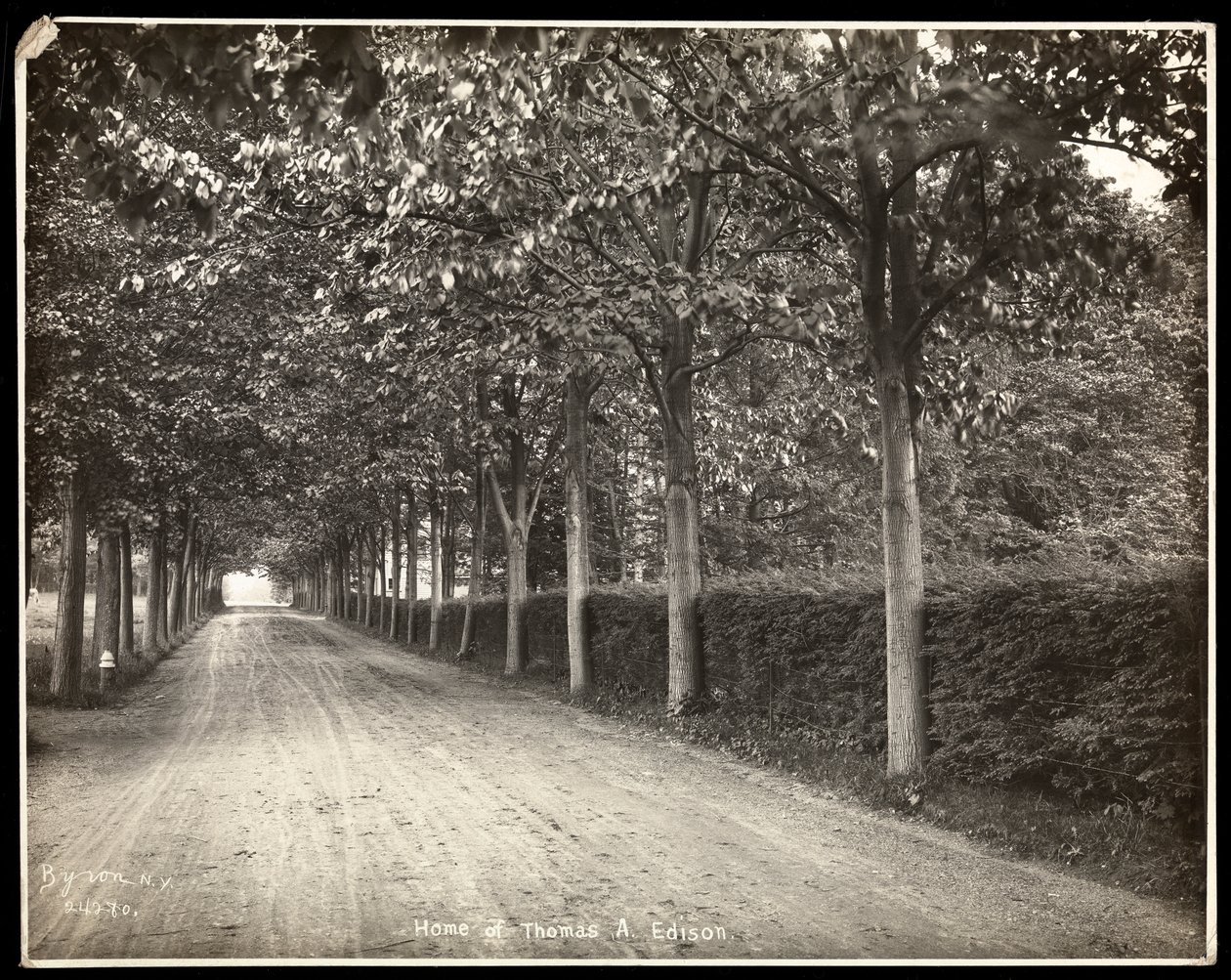 Passeio arborizado na casa de Thomas Edison, 1907 (impressão em gelatina prateada) de Byron Company