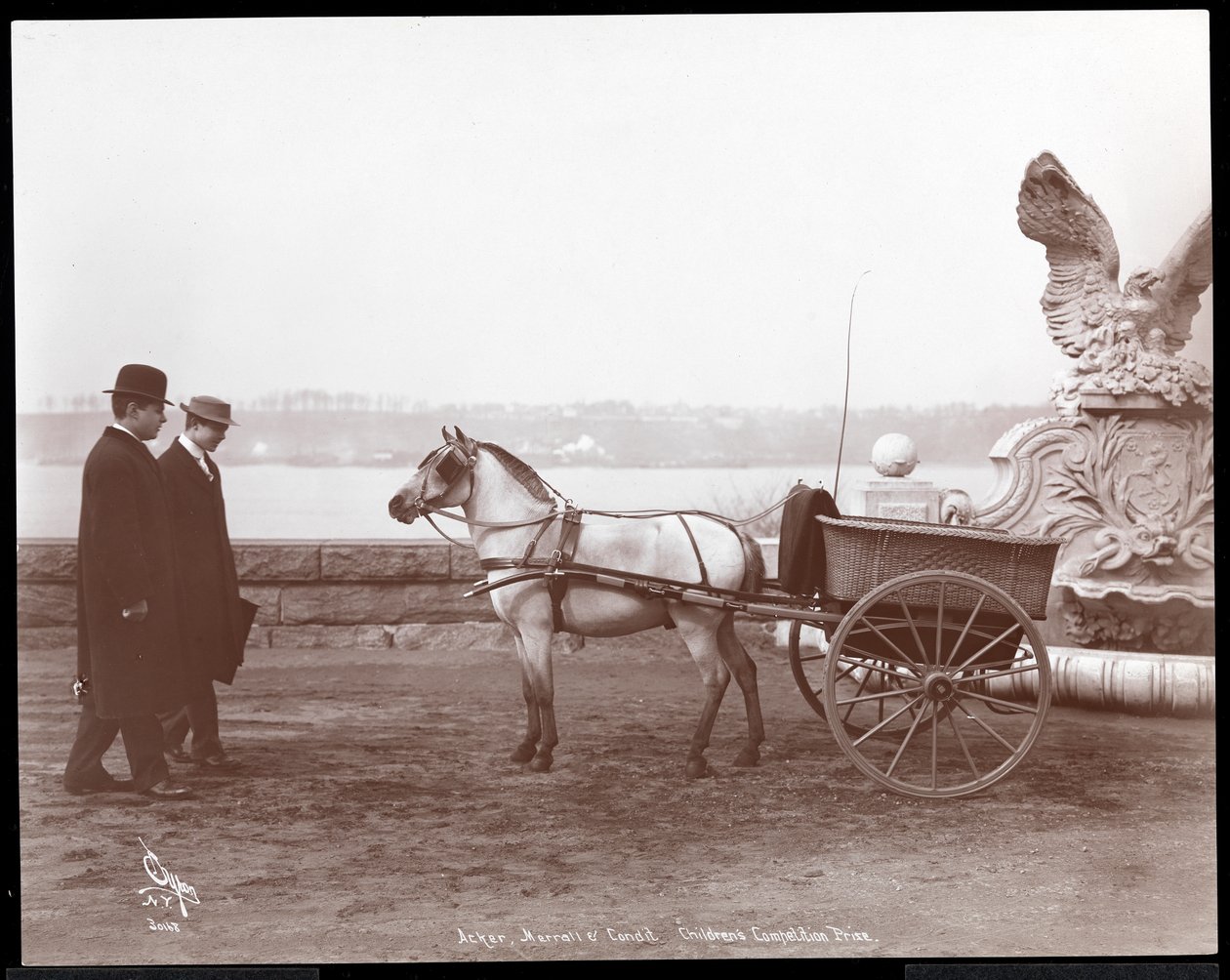 Dois homens, pônei e carrinho, Nova York, 1910 ou 1911 (impressão de gelatina de prata) de Byron Company