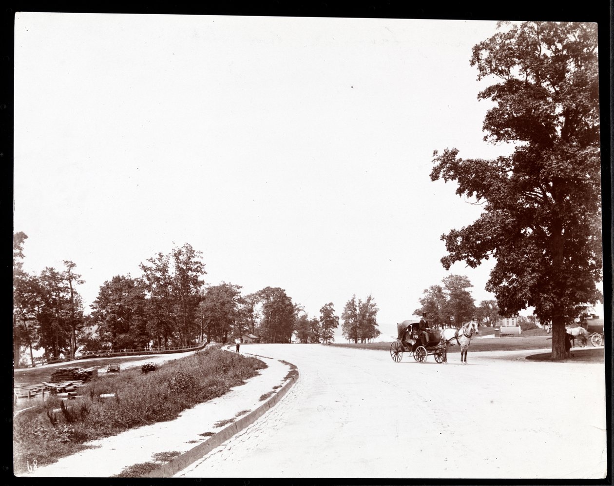 Vista, de, um, horsedrawn, carruagem, ligado, riverside, dirija, nova iorque, c.1893, (silver, gelatin, print) de Byron Company