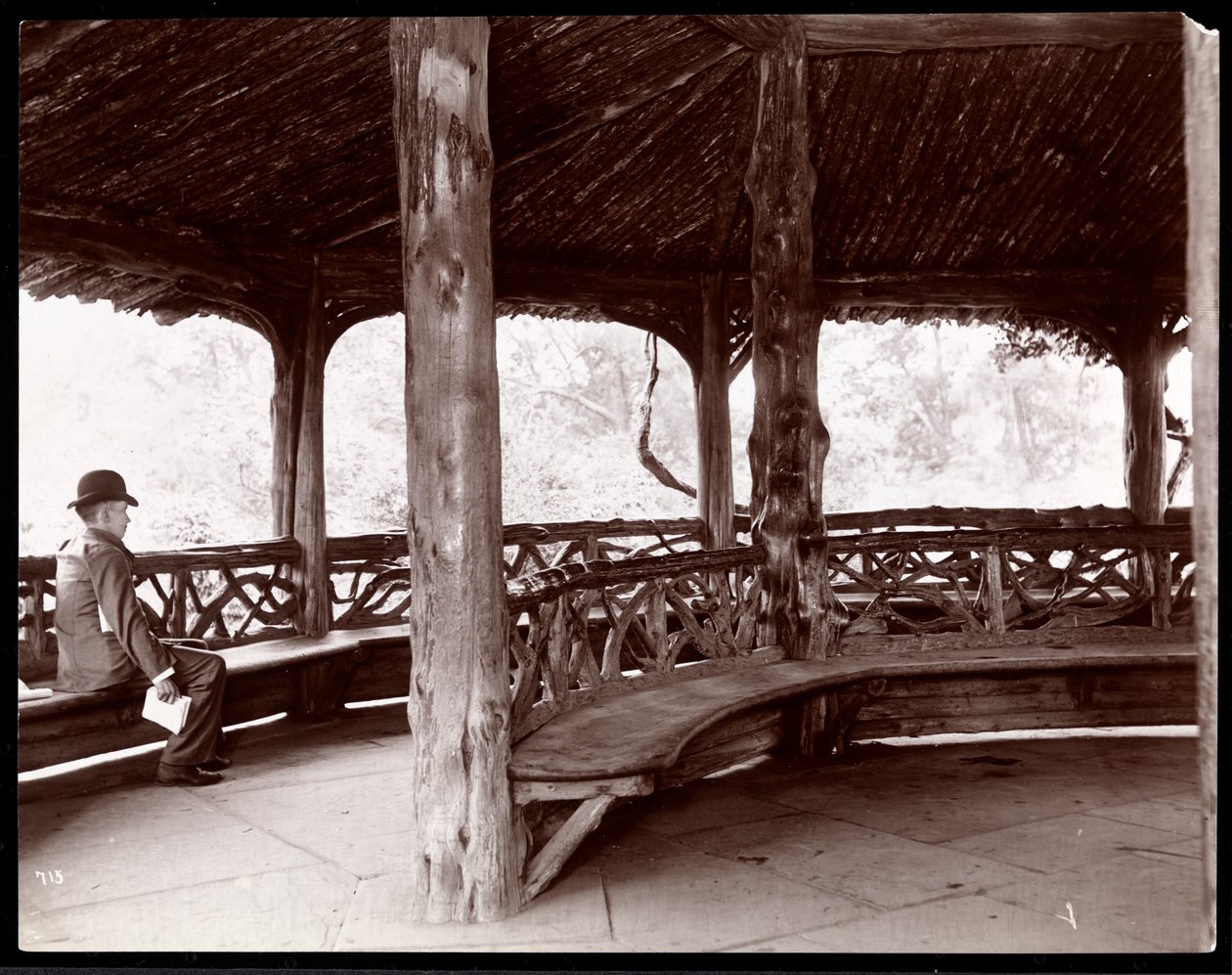 Vista, de, um, homem, sentada, em, um, rústico, paisagem, pavilhão, em, parque central, nova iorque, 1895, (silver, gelatin, print) de Byron Company