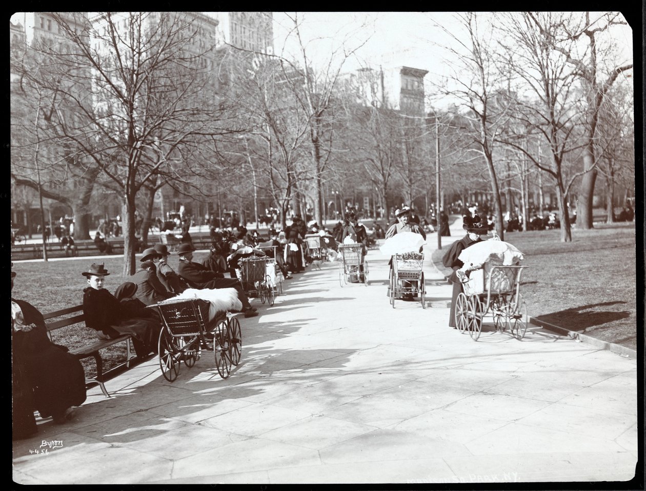 Vista, mulheres, bebê, carruagens, madison, quadrado, parque, nova iorque, 1901, (silver, gelatin, print) de Byron Company