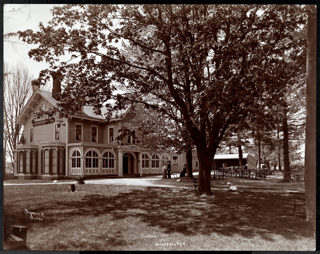 Vista através das árvores do Woodmansten Inn, Westchester, Nova York, 1901 (impressão de gelatina de prata) de Byron Company