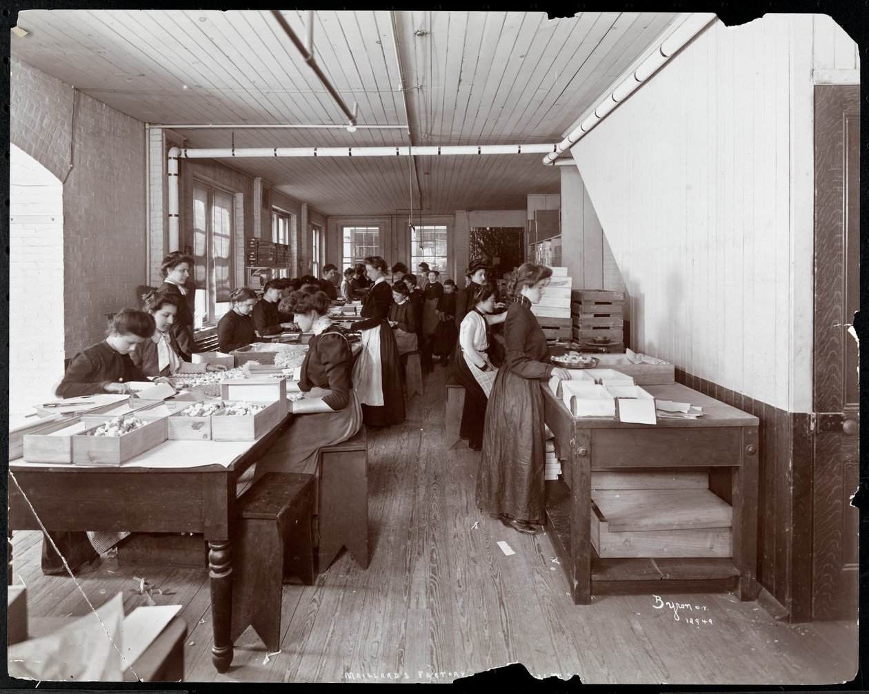 Mulheres empacotando doces na Maillard&39;s Chocolate Manufacturers, 116118 West 25th Street, Nova York, 1902 (impressão em gelatina de prata) de Byron Company