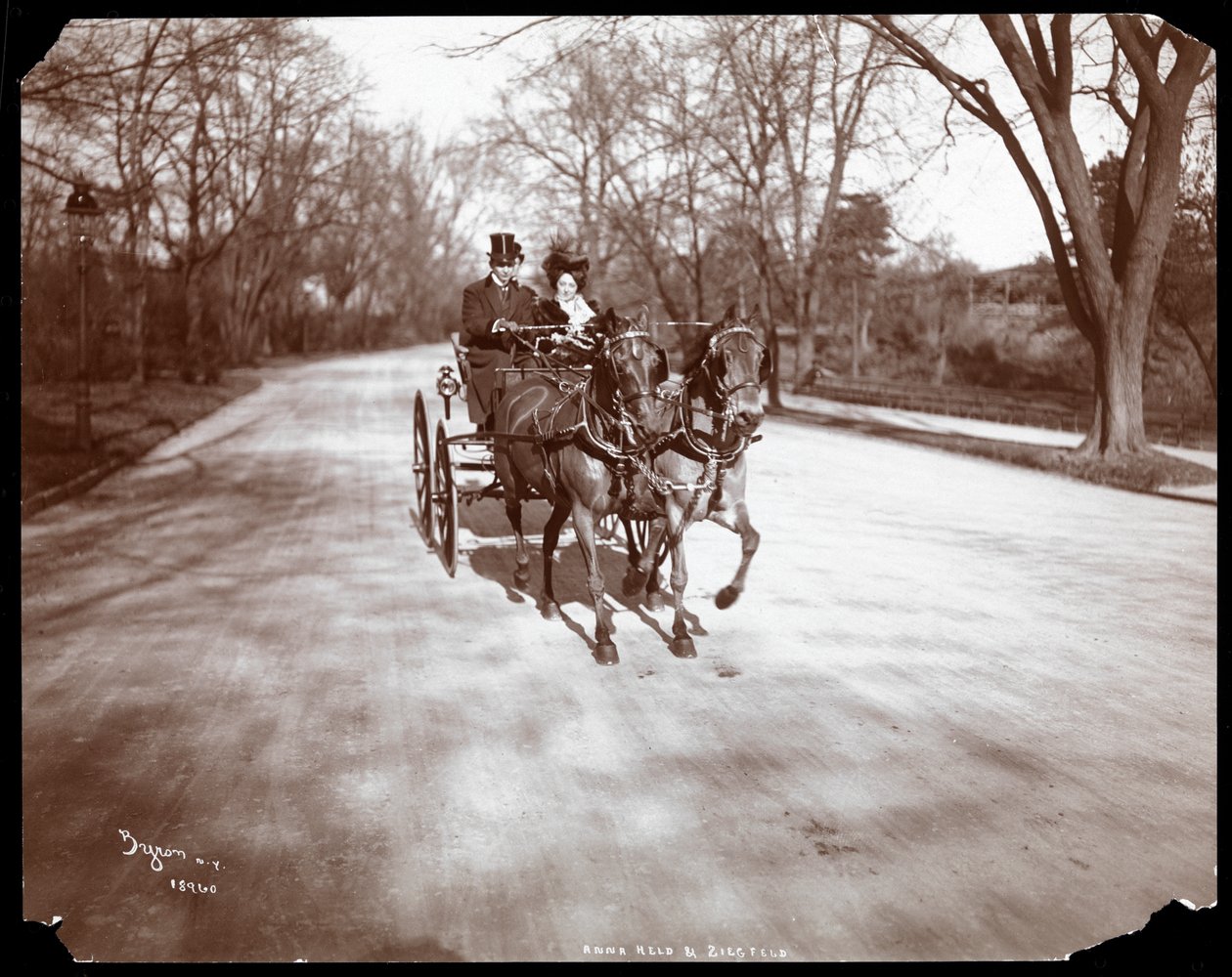 Anna Held e Florenz Ziegfeld dirigindo uma carruagem puxada por cavalos, Nova York, 1904 (impressão em gelatina de prata) de Byron Company