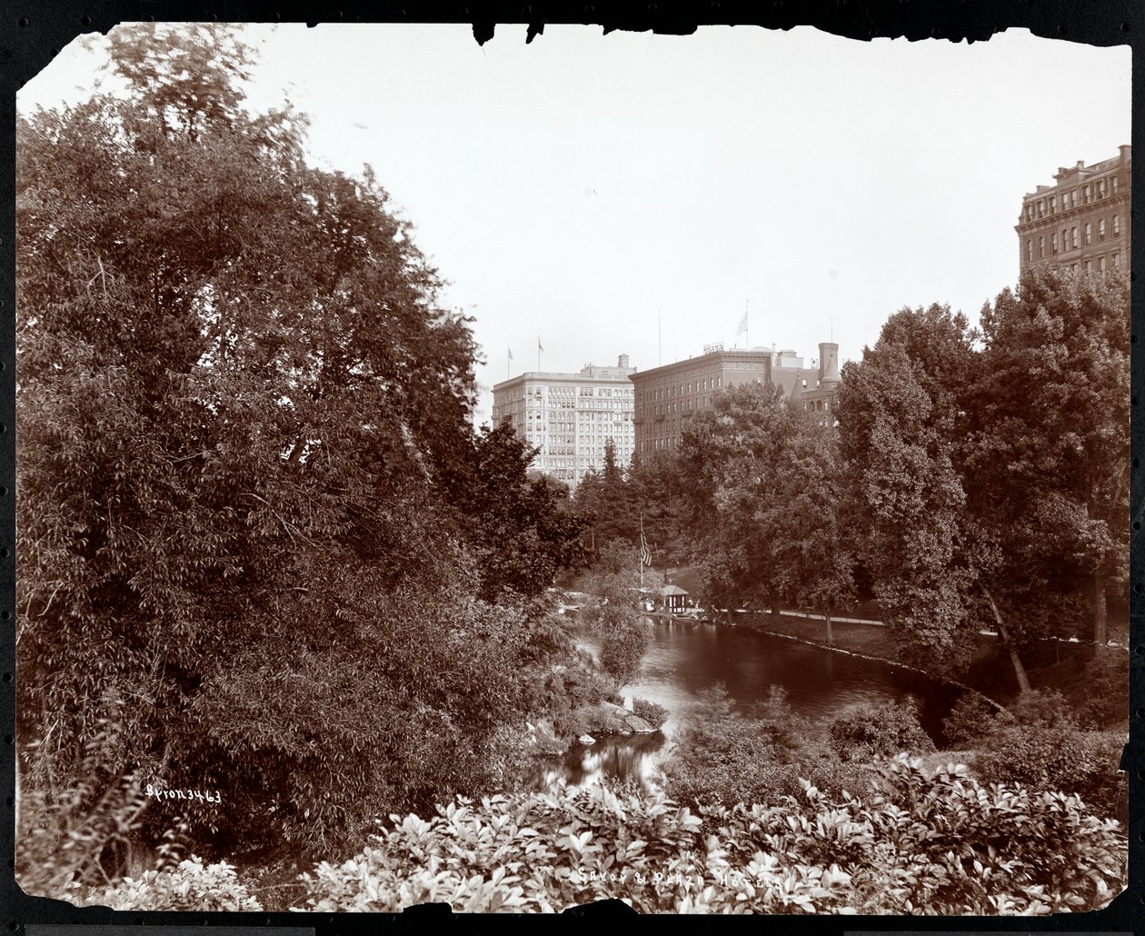 Central Park com vista para o Savoy e Plaza Hotels, 5th Avenue e 59th Street, Nova York, c.1896-98 (impressão em gelatina de prata) de Byron Company