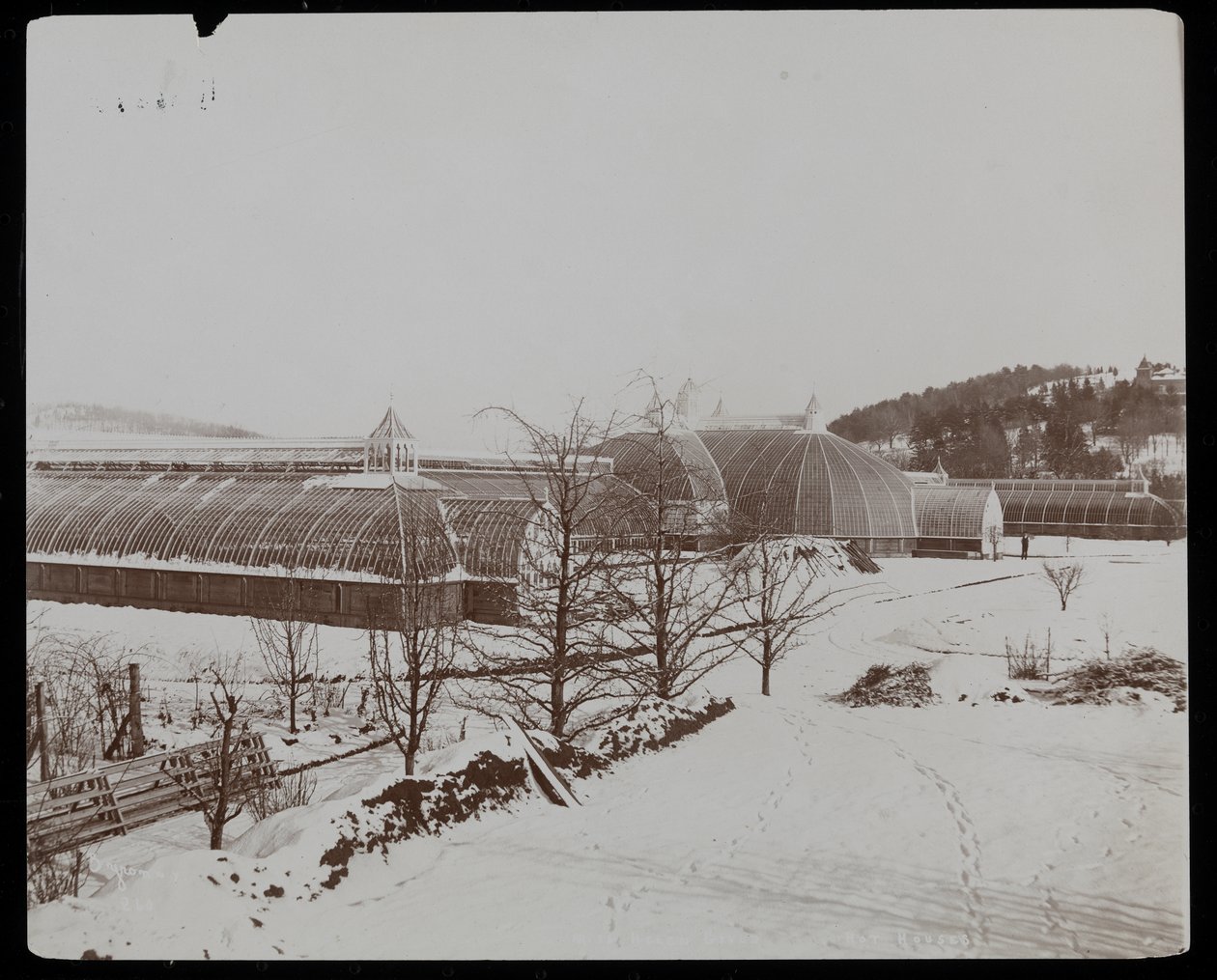 As estufas na neve na propriedade Helen Gould (residência do falecido Jay Gould) em Tarrytown, Nova York, 1894 (impressão de gelatina de prata) de Byron Company