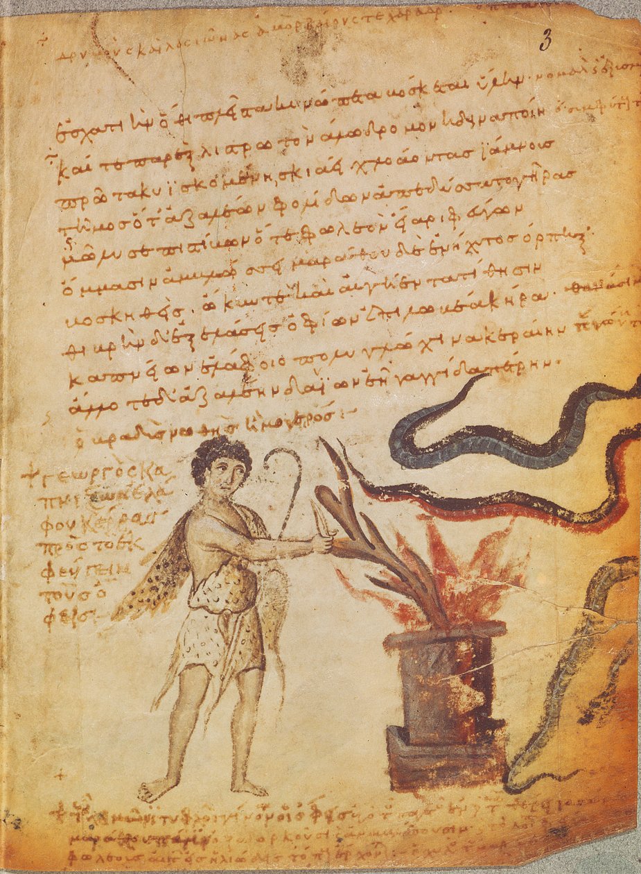 Sra. Supp Grec 247 fol.3 Um vaqueiro queima galhadas para banir as serpentes, do Theriaca de Nicander de Colophon (século XX aC) de Byzantine