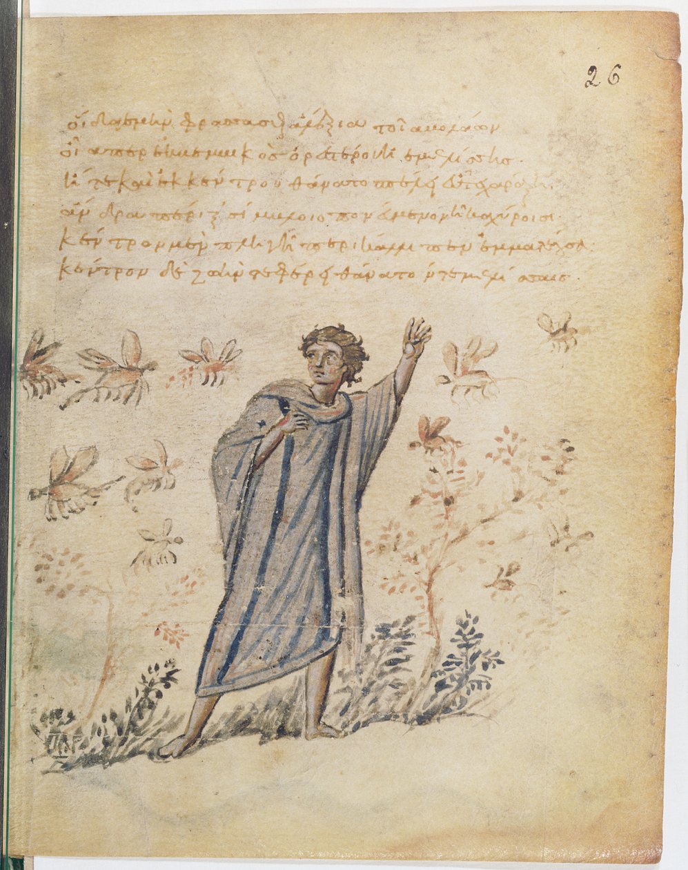 Sra. Supp Grec 247 fol.3 Homem escapando das abelhas, ilustração de Theriaca de Nicander de Colophon (século XXII aC) de Byzantine