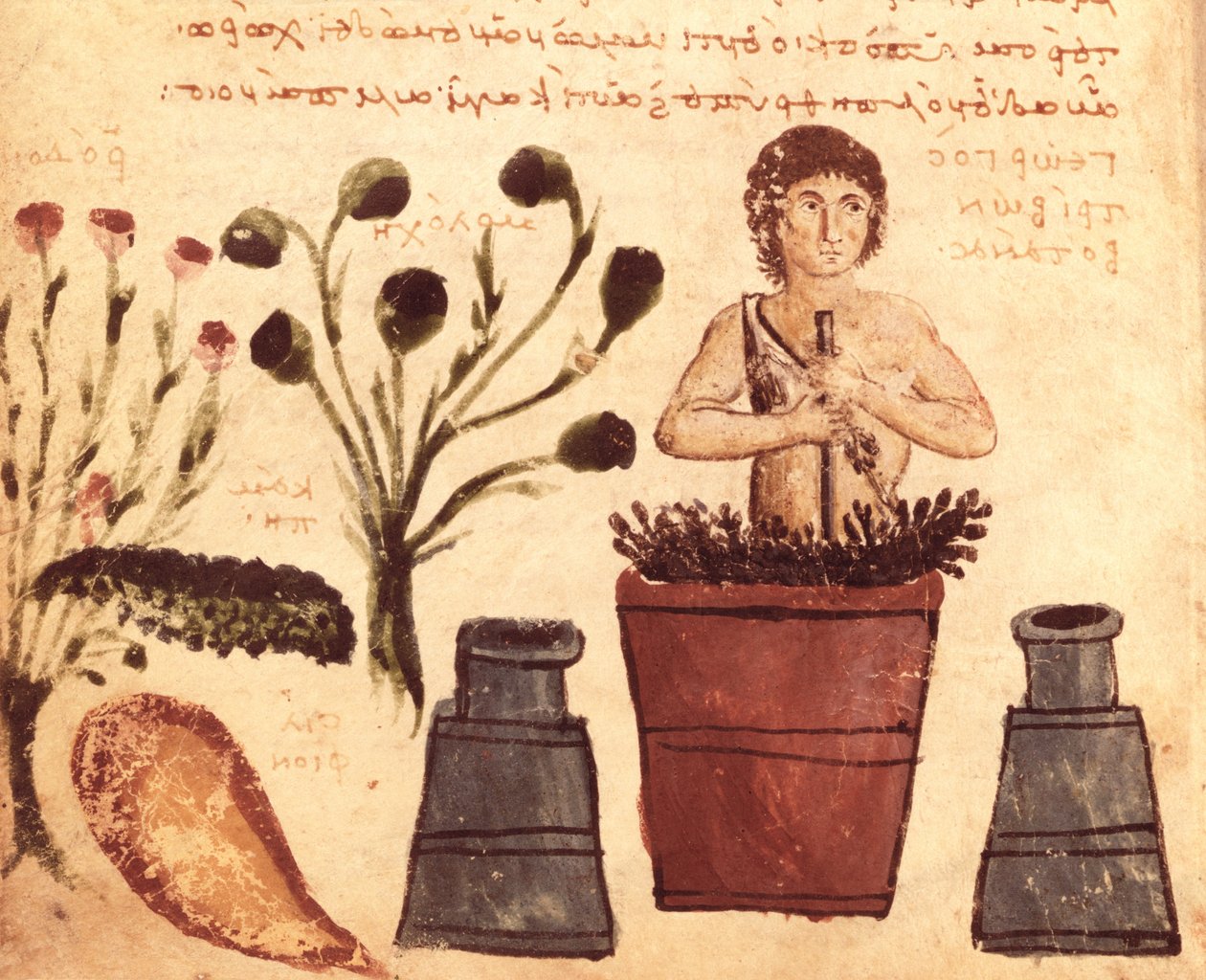 Sra. Supp Grec 247 fol.5 Um camponês preparando um unguento para proteger contra as cobras, do Theriaca de Nicander de Colophon (século XX aC) de Byzantine