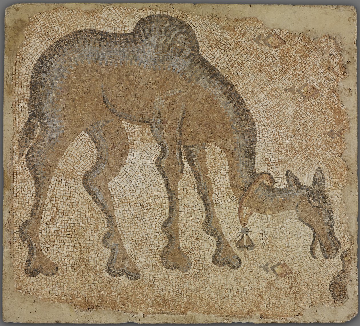 Fragmento de mosaico com camelo pastando de Byzantine