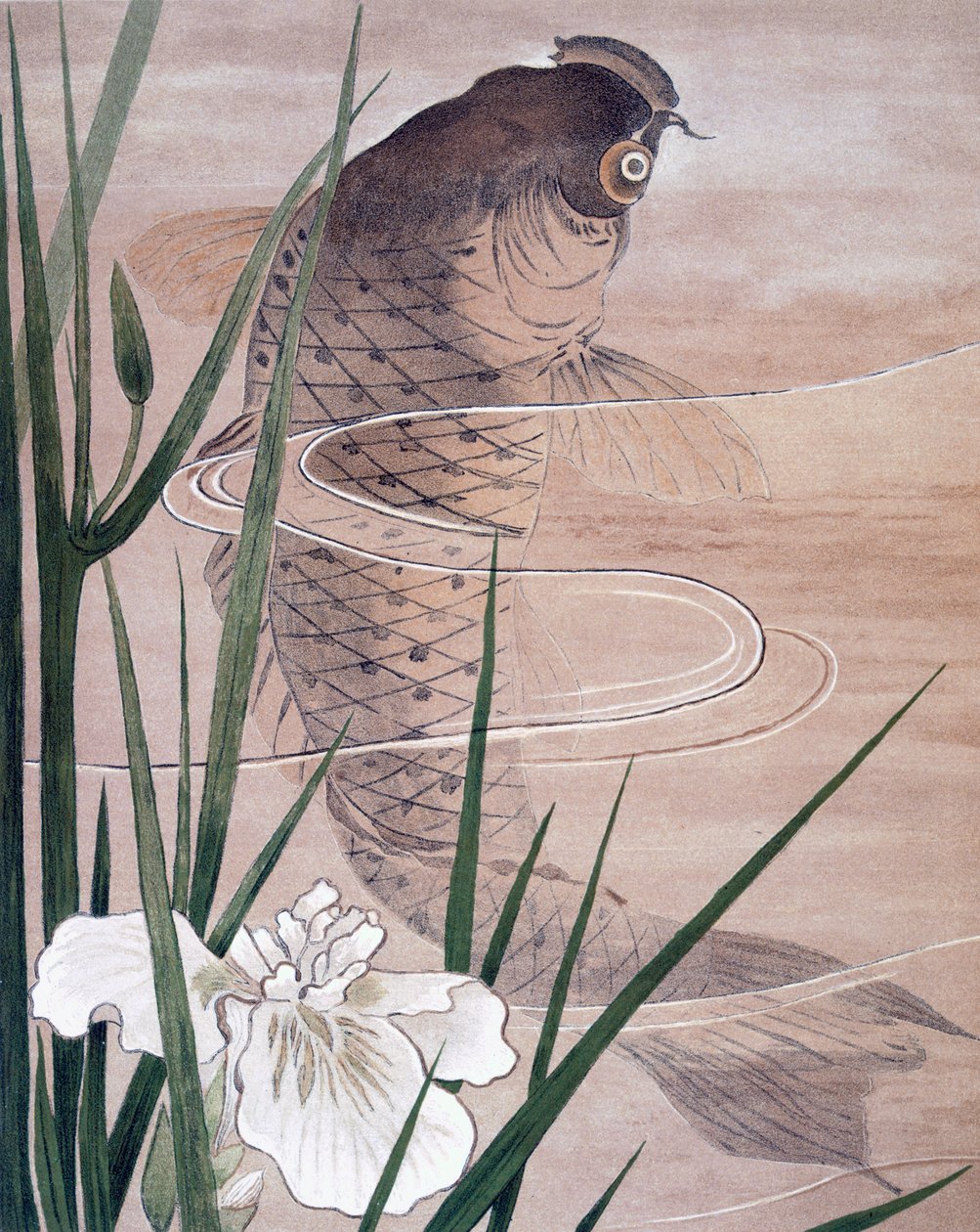 Peixe de C. F. Kell
