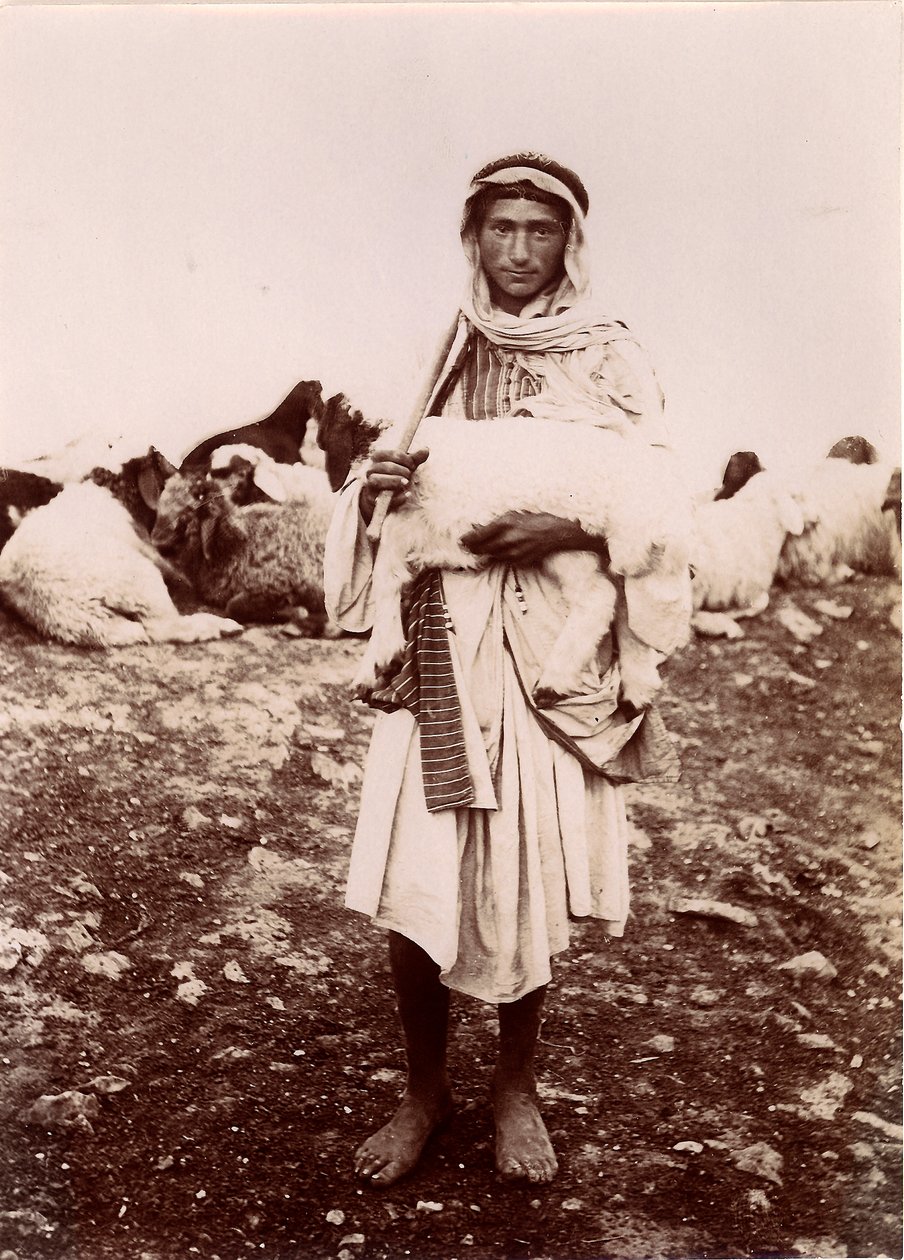 Um, pastor, menino, carregar, um, cordeiro, c.1894-1914 de C.A. Hornstein