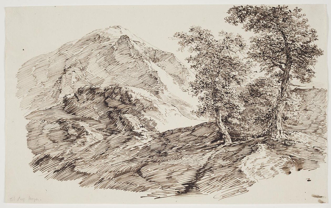 Paisagem montanhosa com árvores de C.F. von Rumohr