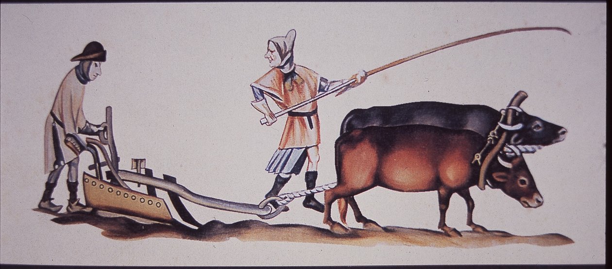 Homens medievais lavrando com bois, de uma cena do Luttrell Psalter (cor litho) de J.B. and Brown J. Rowbotham
