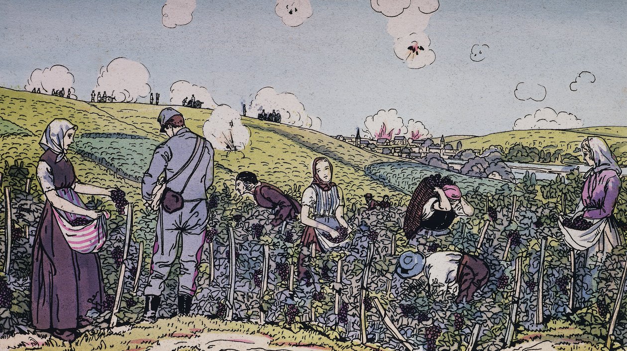 Os nossos viticultores vindimaram debaixo de fogo, a colheita na região de Champagne em 1914, Primeira Guerra Mundial, França, século XX de J.B. and Brown J. Rowbotham