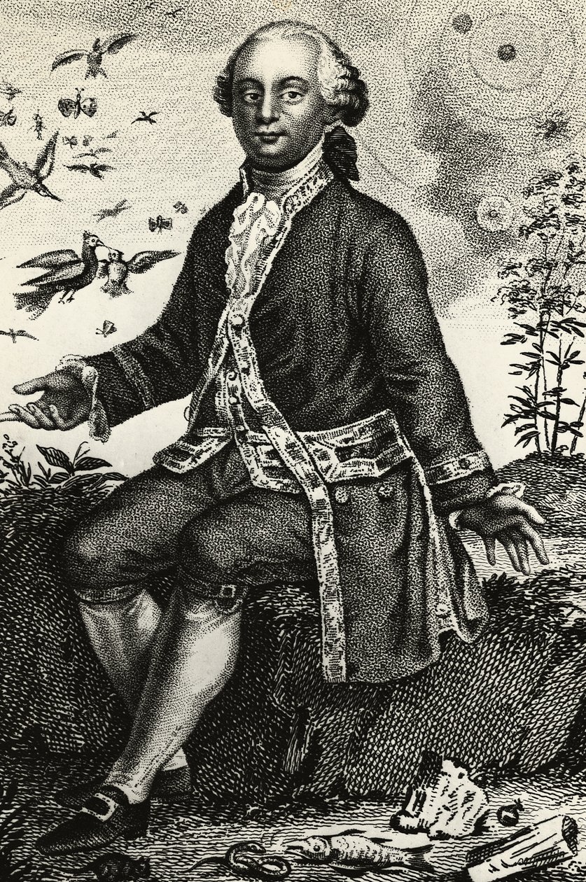 Retrato de Georges-Louis Leclerc de Buffon (1707-1788), naturalista e matemático francês, gravura de J.B. and Brown J. Rowbotham