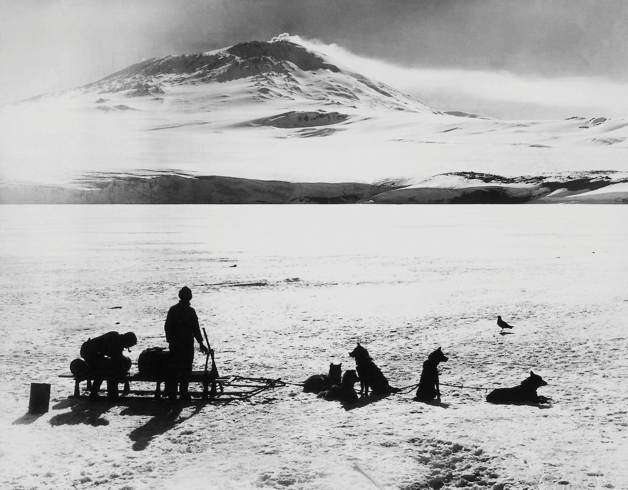 Expedição Pólo Sul por Robert Falcon Scott (1868-1912), exploradores antes do vulcão Erebus na ilha de Ross, 15 de janeiro de J.B. and Brown J. Rowbotham