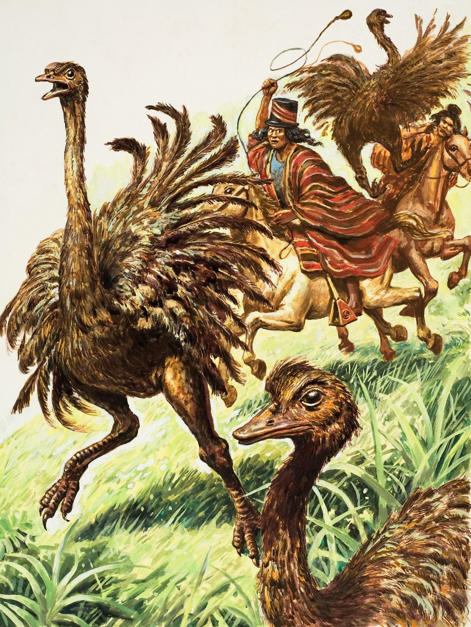 Rheas (guache sobre papel) de C.L. Doughty