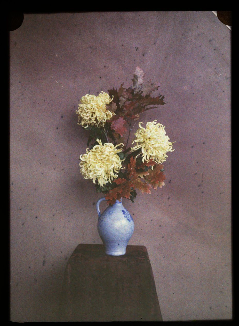 Flores (asters) numa jarra de C.W. Immink