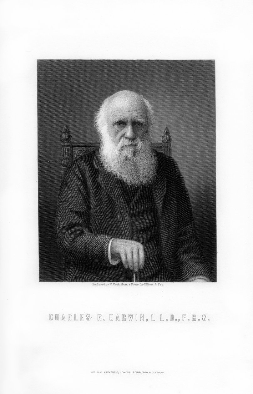 Charles Darwin, naturalista britânico, 1899. de C. Cook