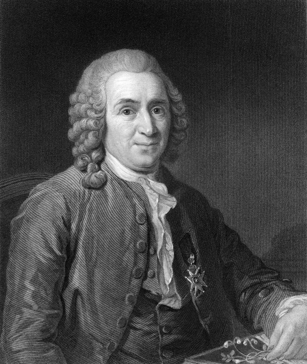 Carolus Linnaeus, naturalista sueco do século XVIII, 1836. de C. E. Wagstaff
