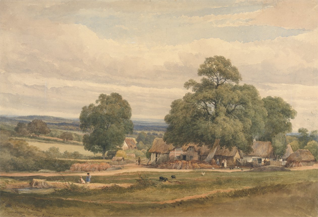 Emerey Down perto de Lyndhurst, New Forest, Hants (aguarela e grafite sobre papel) de C. John Mayle Whichelo