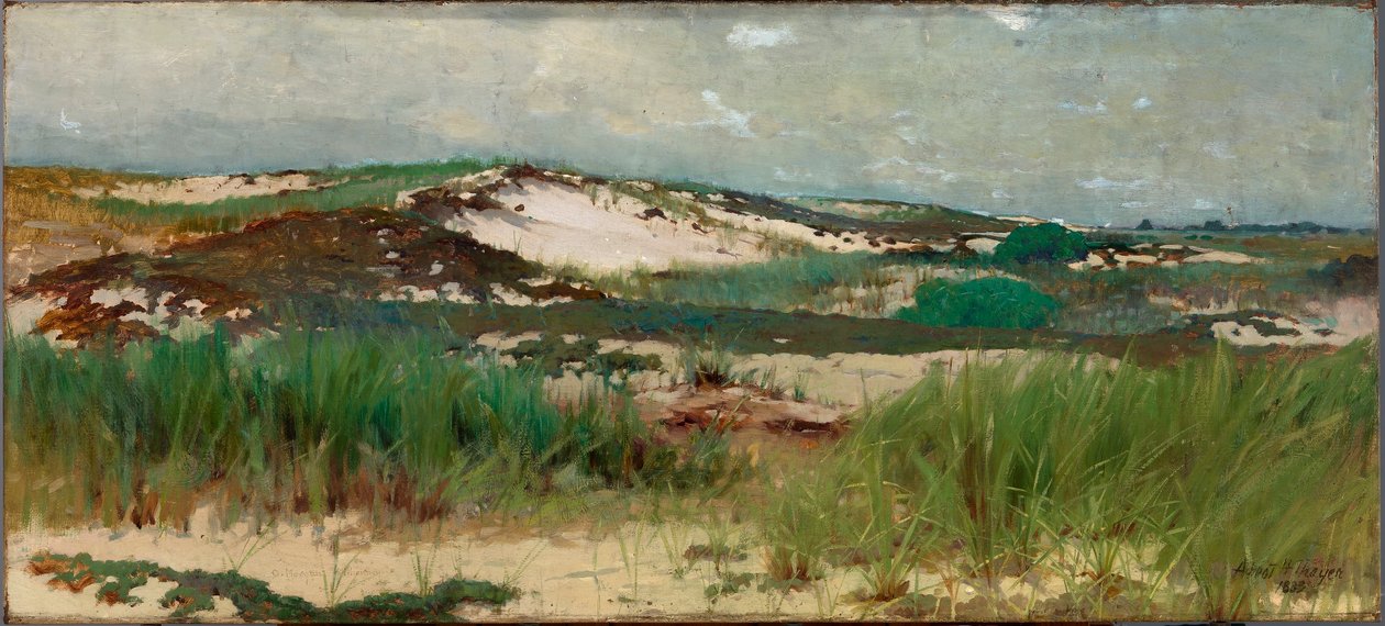 Duna de areia de Nantucket de C. Morgan McIlhenney