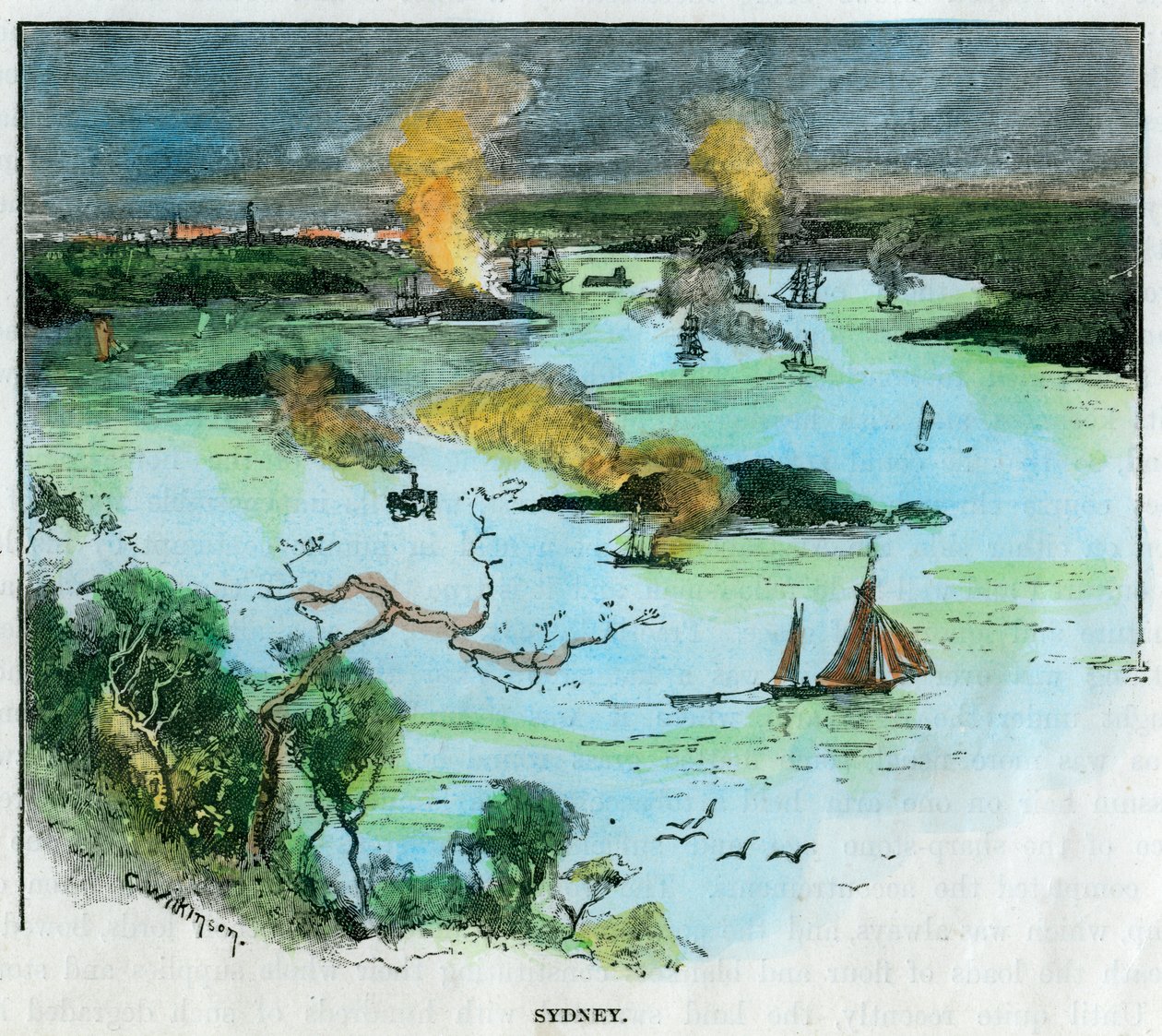 Sydney, Nova Gales do Sul, Austrália, c1885. de C. Wilkinson