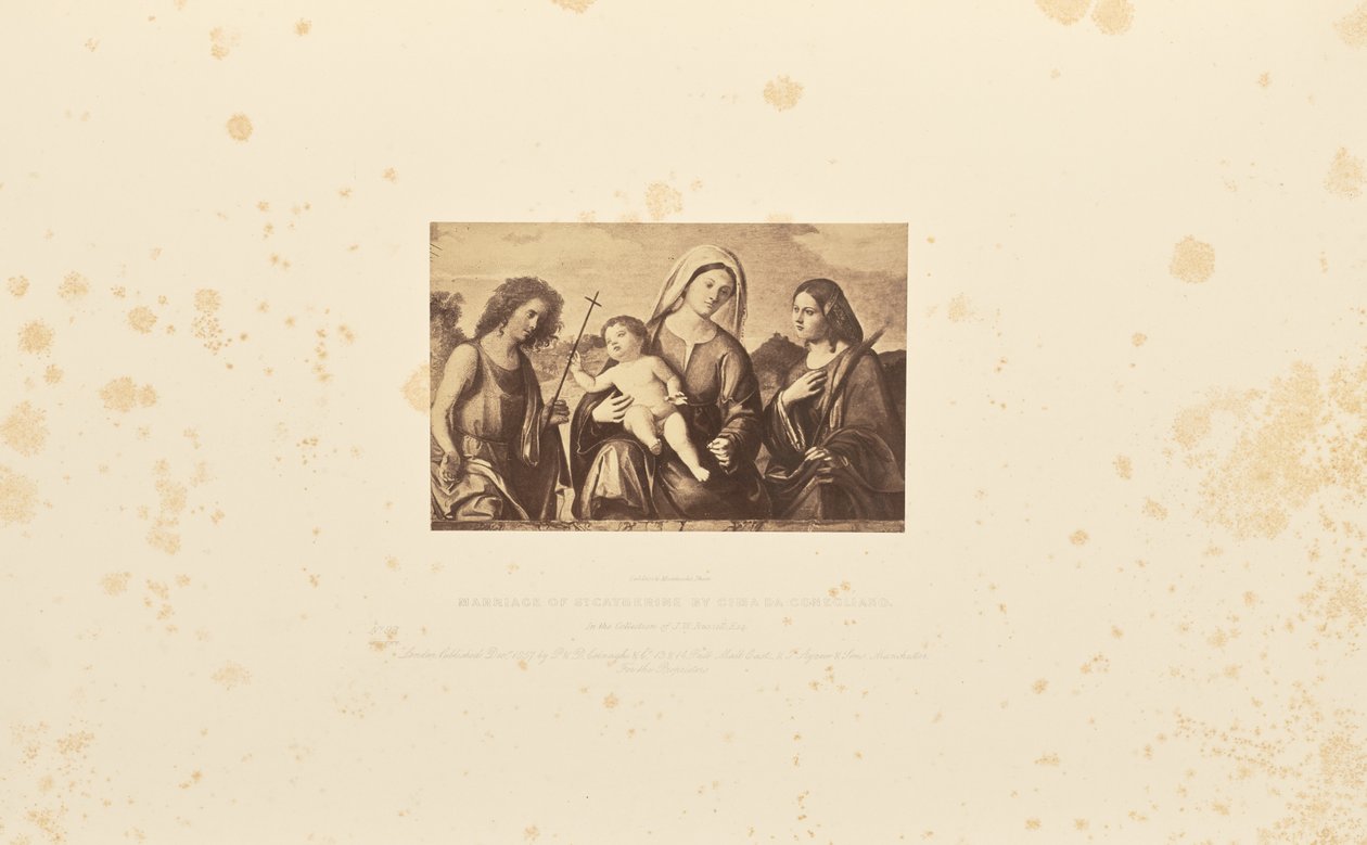 Casamento de Santa Catarina de Cima da Conegliano de Caldesi and Montecchi