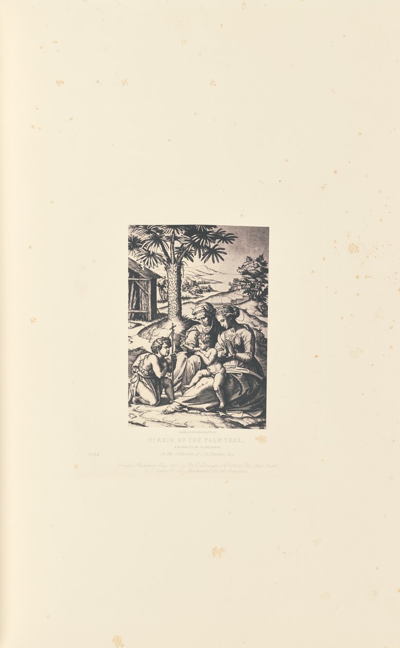 Virgem da Palmeira, gravado por M. Antonio de Caldesi and Montecchi