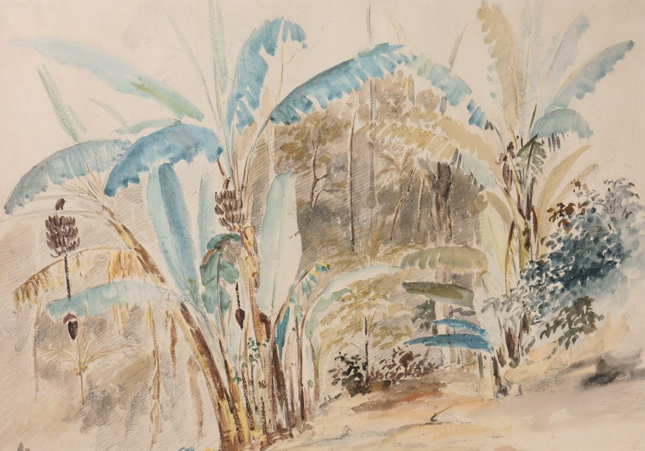 Banana de Camille Jacob Pissarro