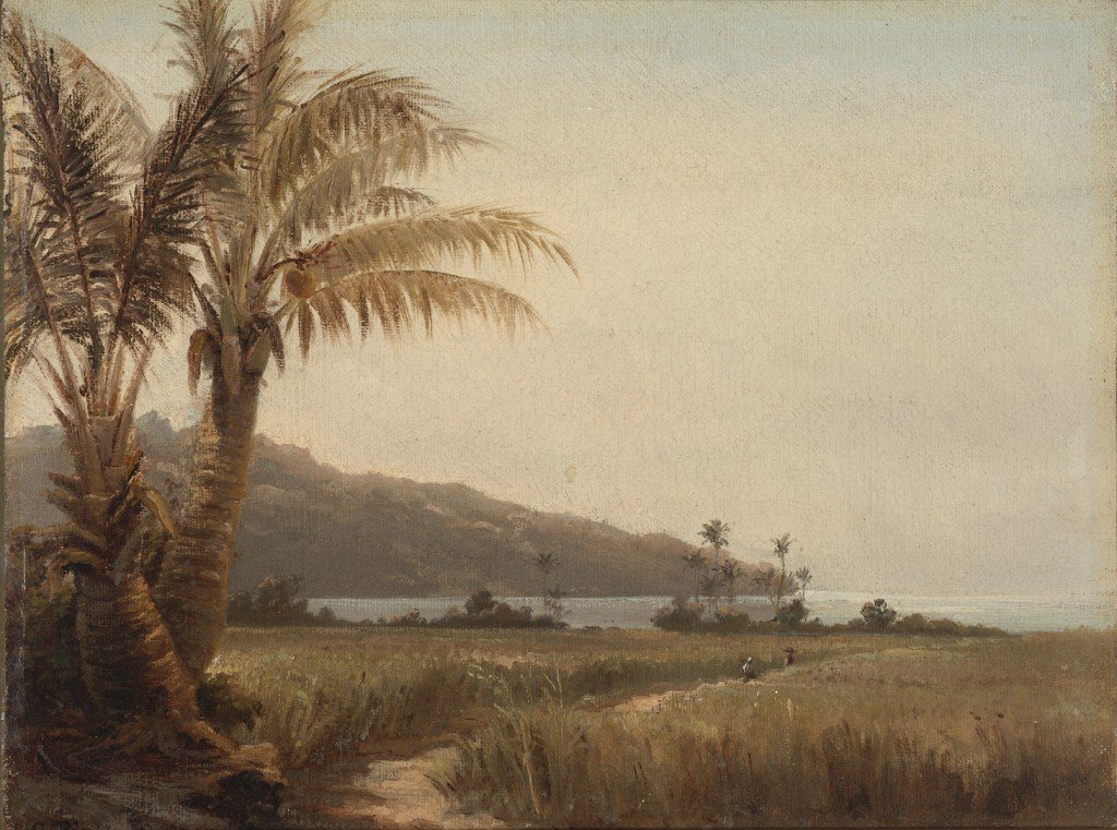 Coqueiros pelo mar de Camille Jacob Pissarro
