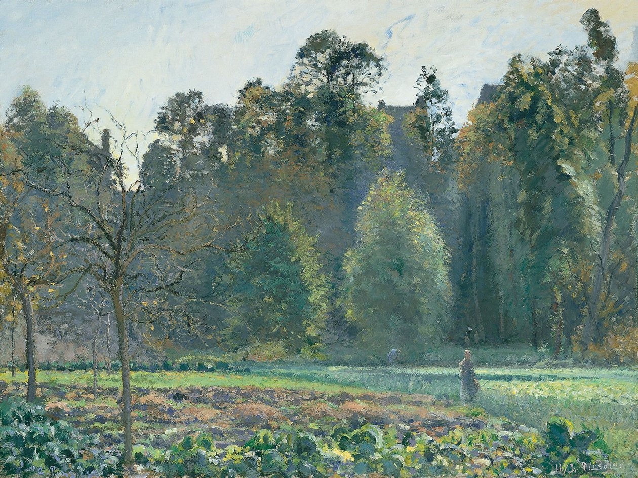 O campo de repolho, pontoise de Camille Jacob Pissarro
