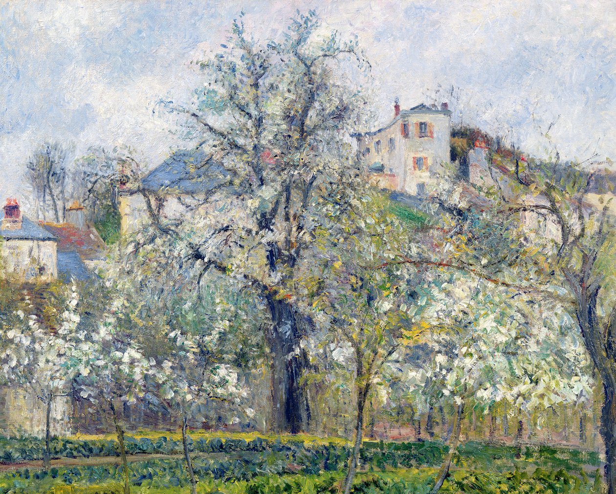 O jardim vegetal com árvores em flor, Primavera, Pontoise, 1877 de Camille Jacob Pissarro