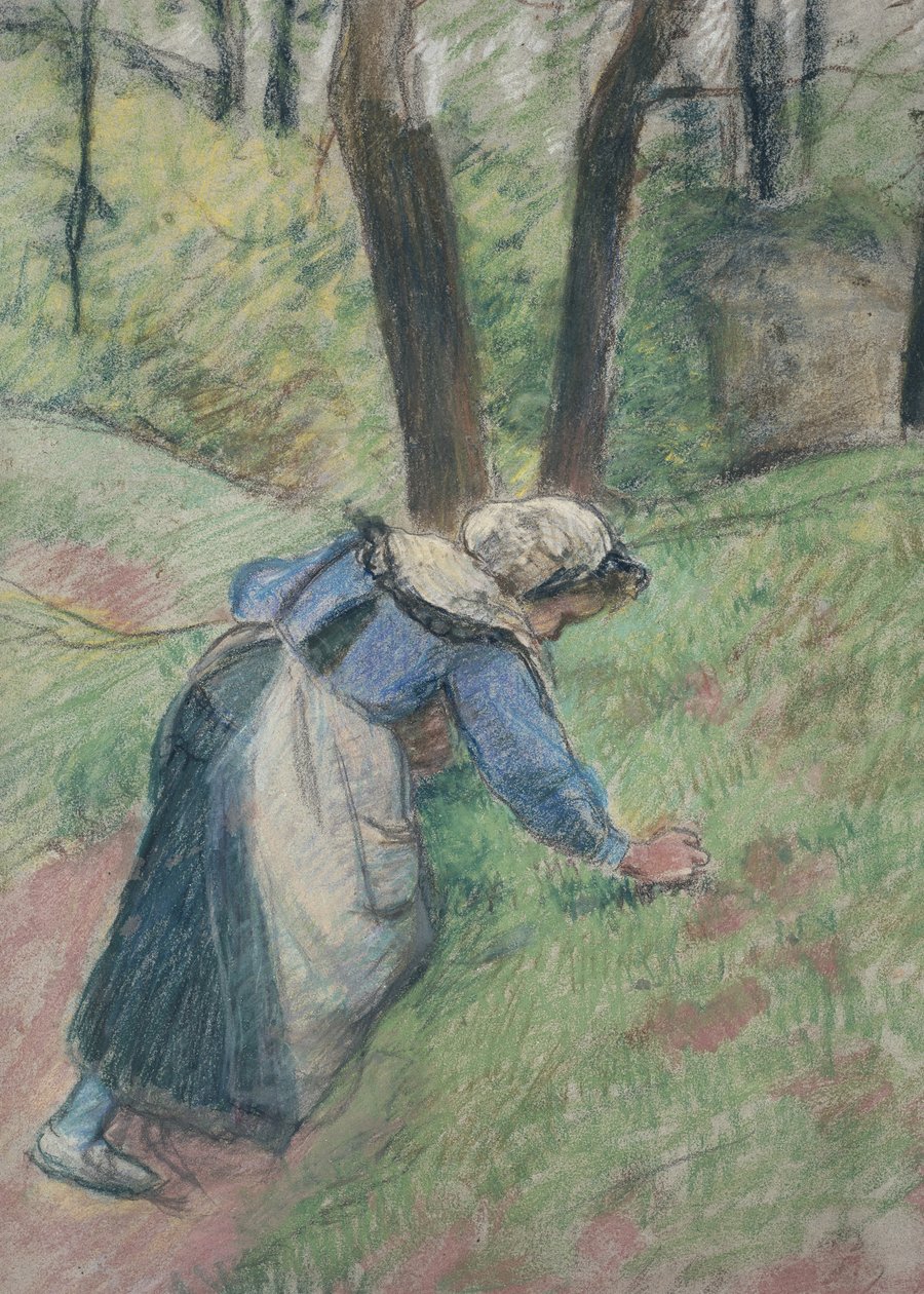 Camponesa, capina, capim, (pastel, heightened, em, lugares, com, um, cor-de-rosa, wash) de Camille Jacob Pissarro