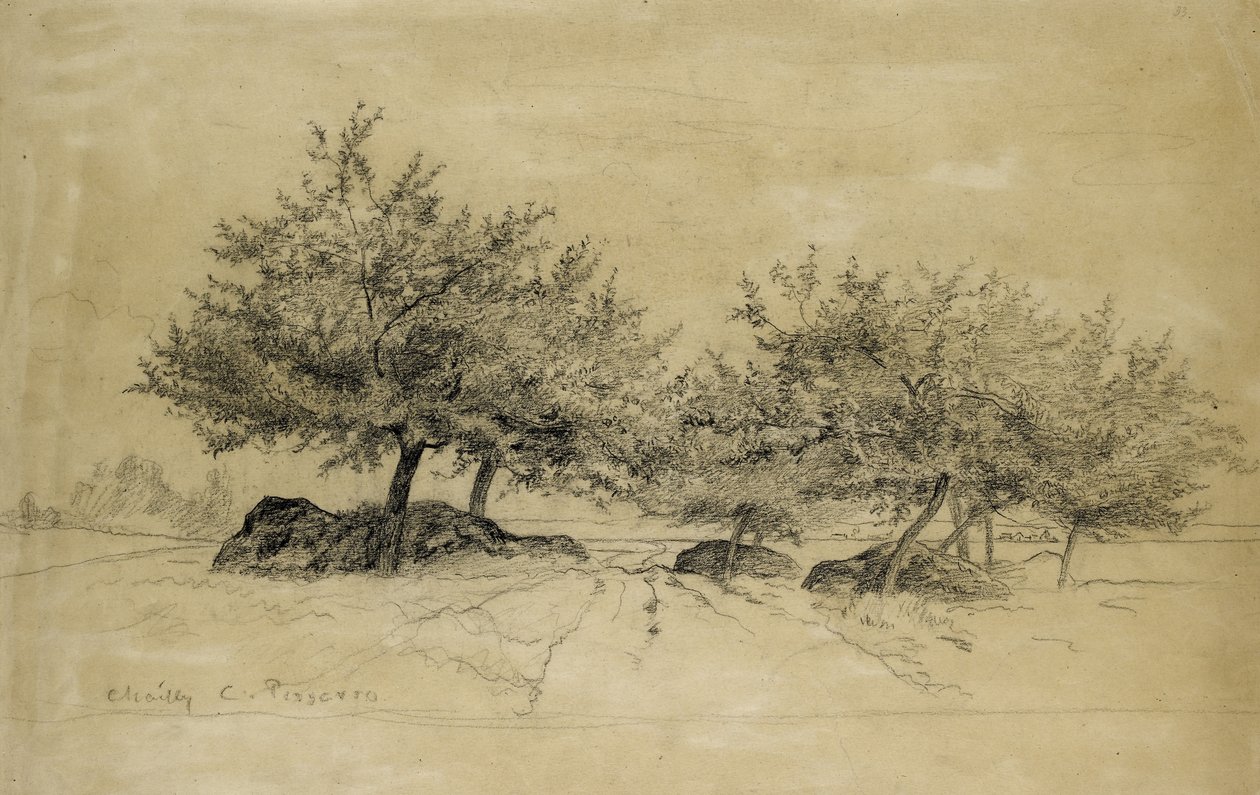 Recto: Chailly, c. 1859 (carvão vegetal sobre papel bege) de Camille Jacob Pissarro
