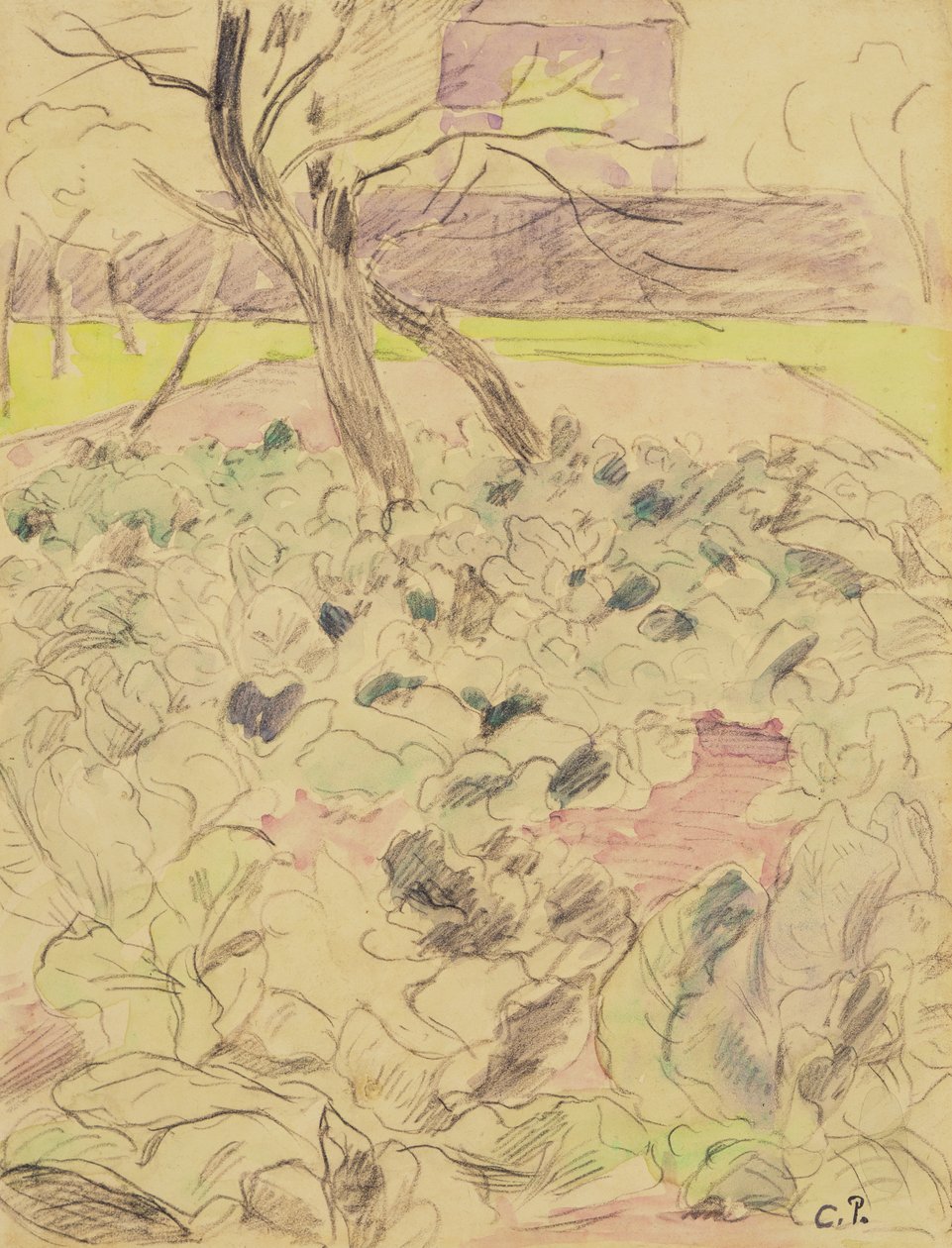 O campo do repolho, c.1880 (lápis e wc no papel) de Camille Jacob Pissarro