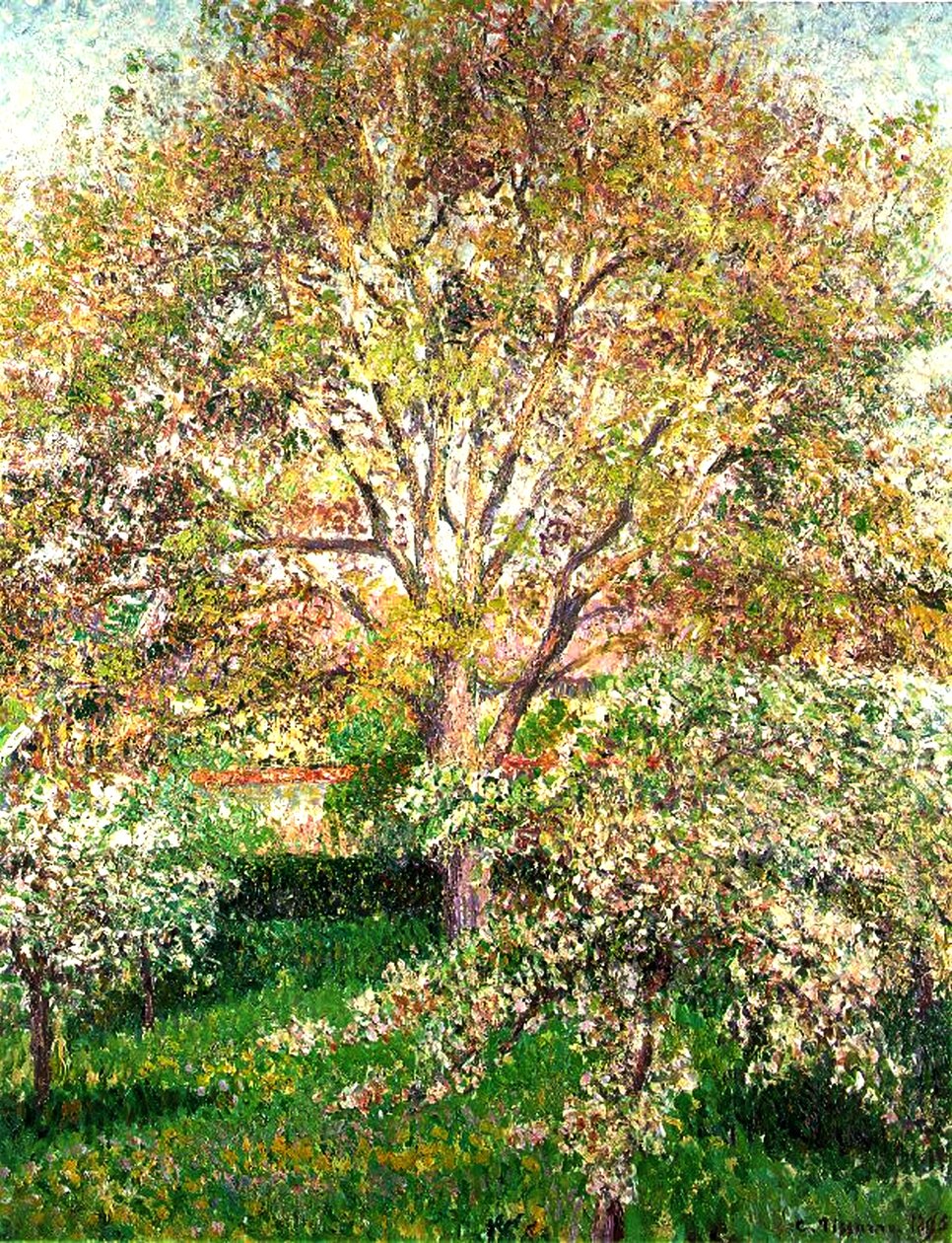 Árvores em flor em Eragny, 1895 de Camille Jacob Pissarro
