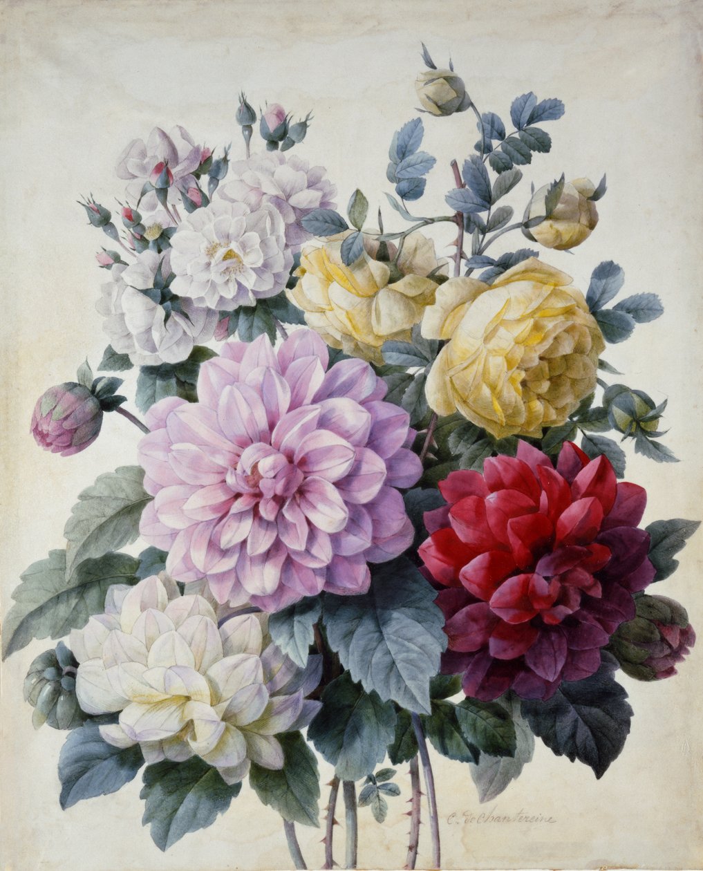 Bouquet de Flores, Dálias e Rosas, publicado c.1830-40 (stipple engraving hand colored) de Camille de Chantereine
